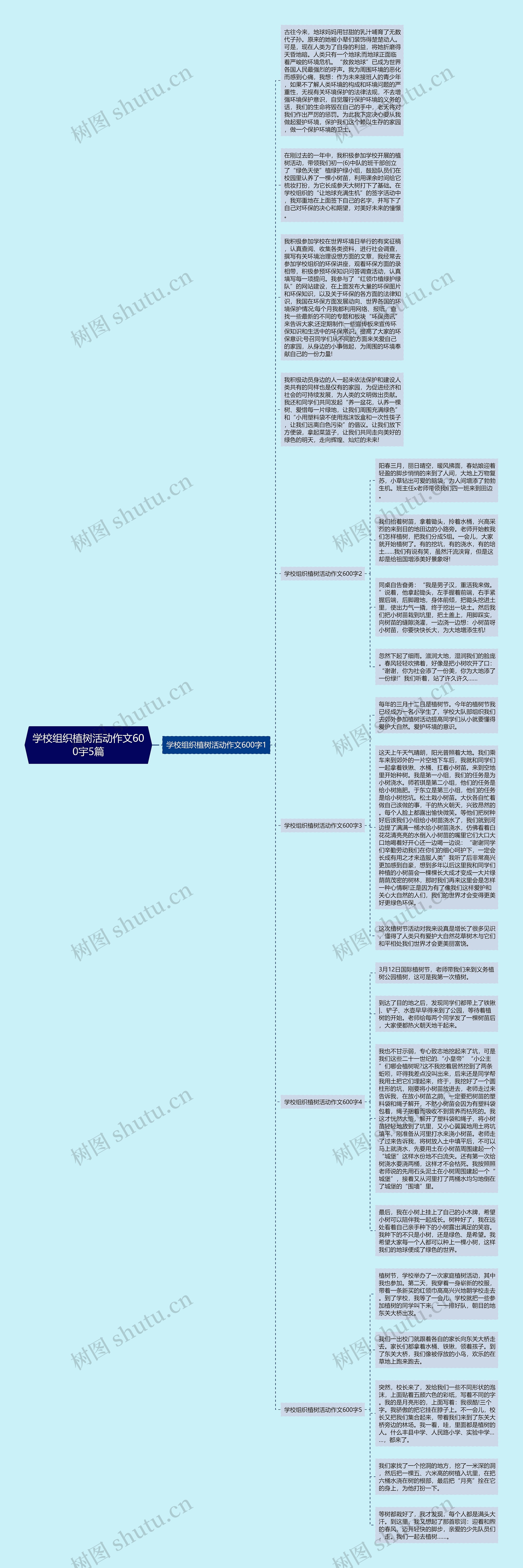 学校组织植树活动作文600宇5篇思维导图