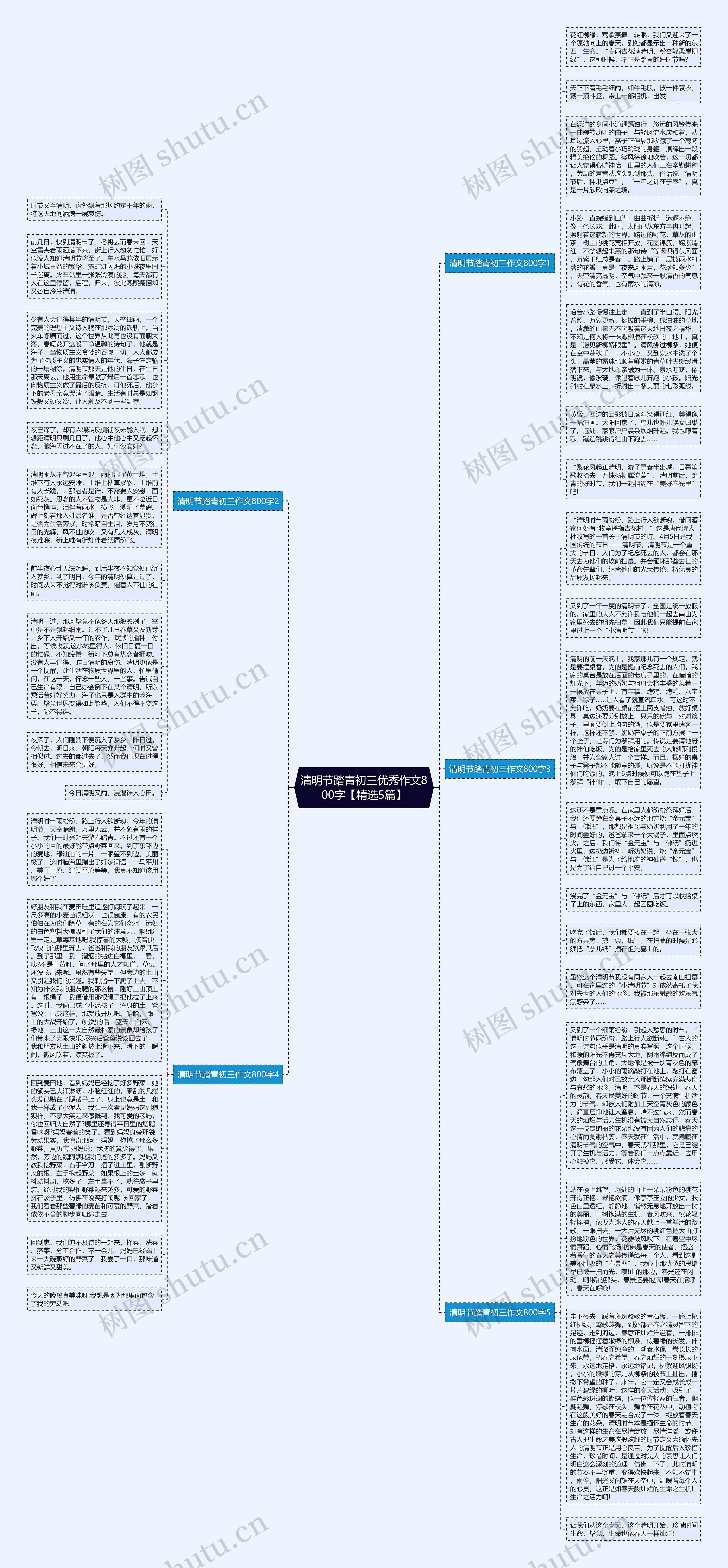 清明节踏青初三优秀作文800字【精选5篇】思维导图