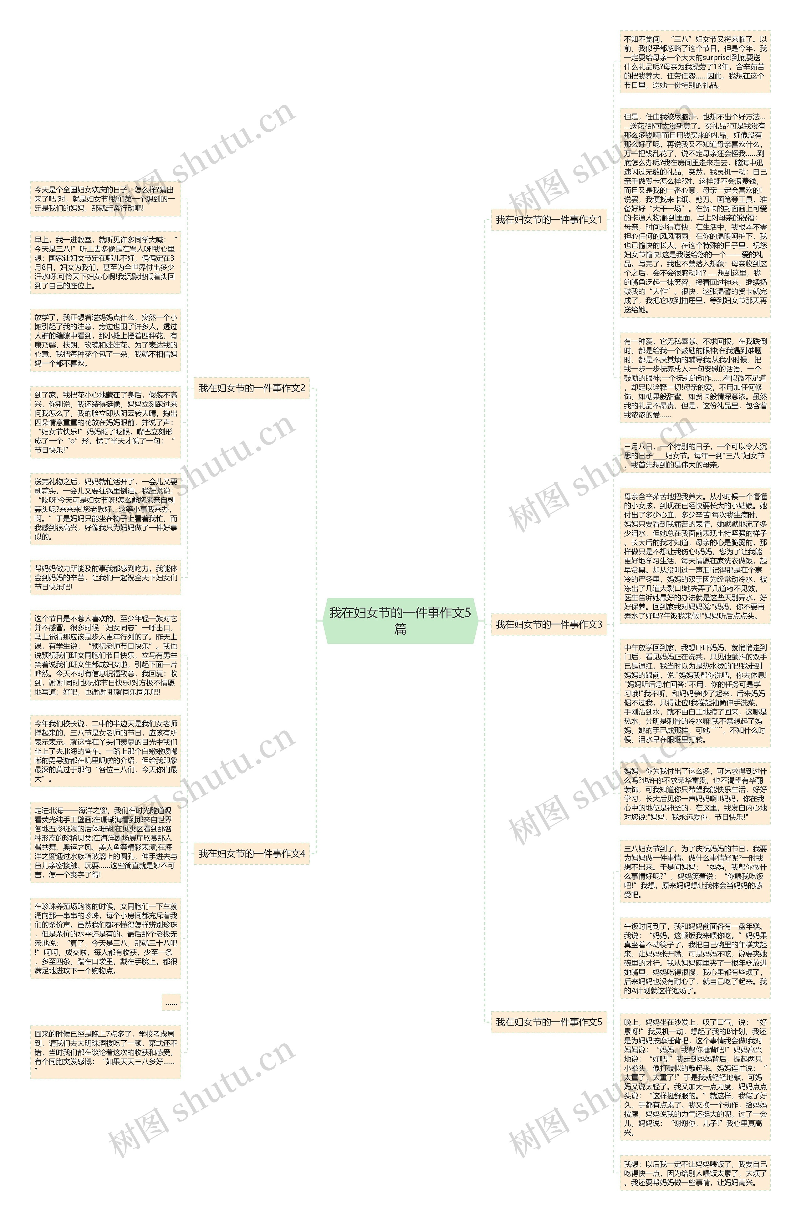 我在妇女节的一件事作文5篇思维导图