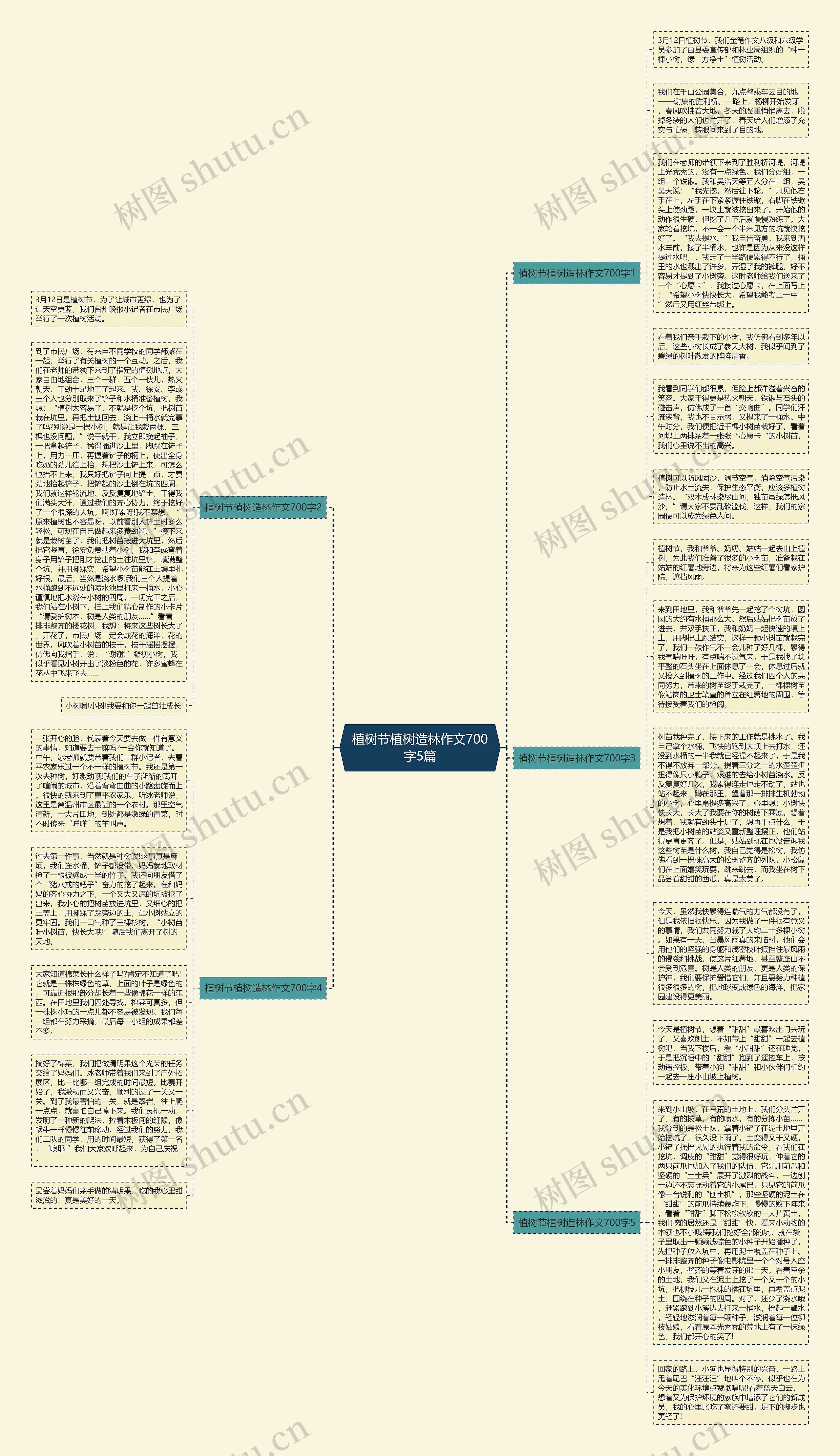 植树节植树造林作文700字5篇思维导图