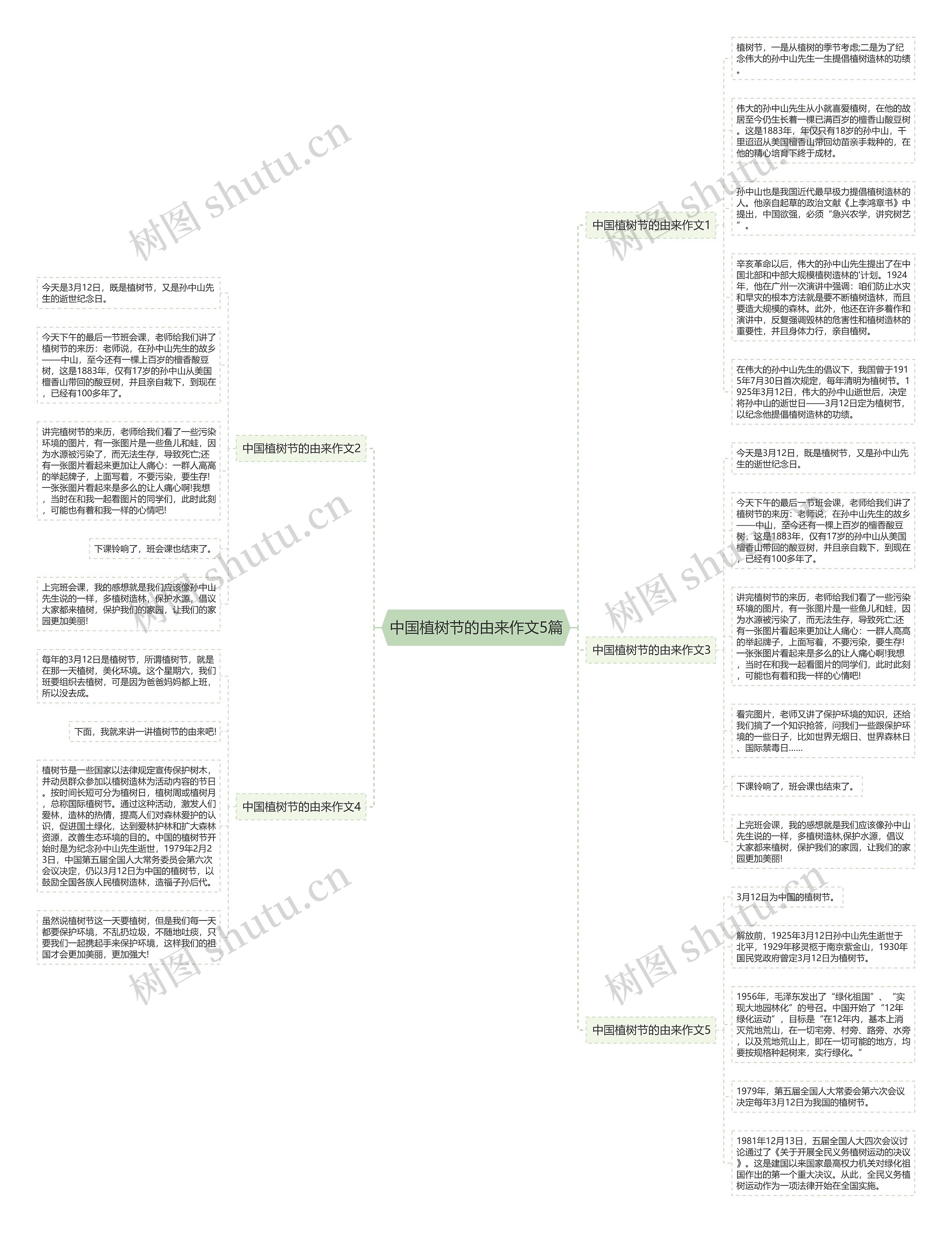 中国植树节的由来作文5篇思维导图