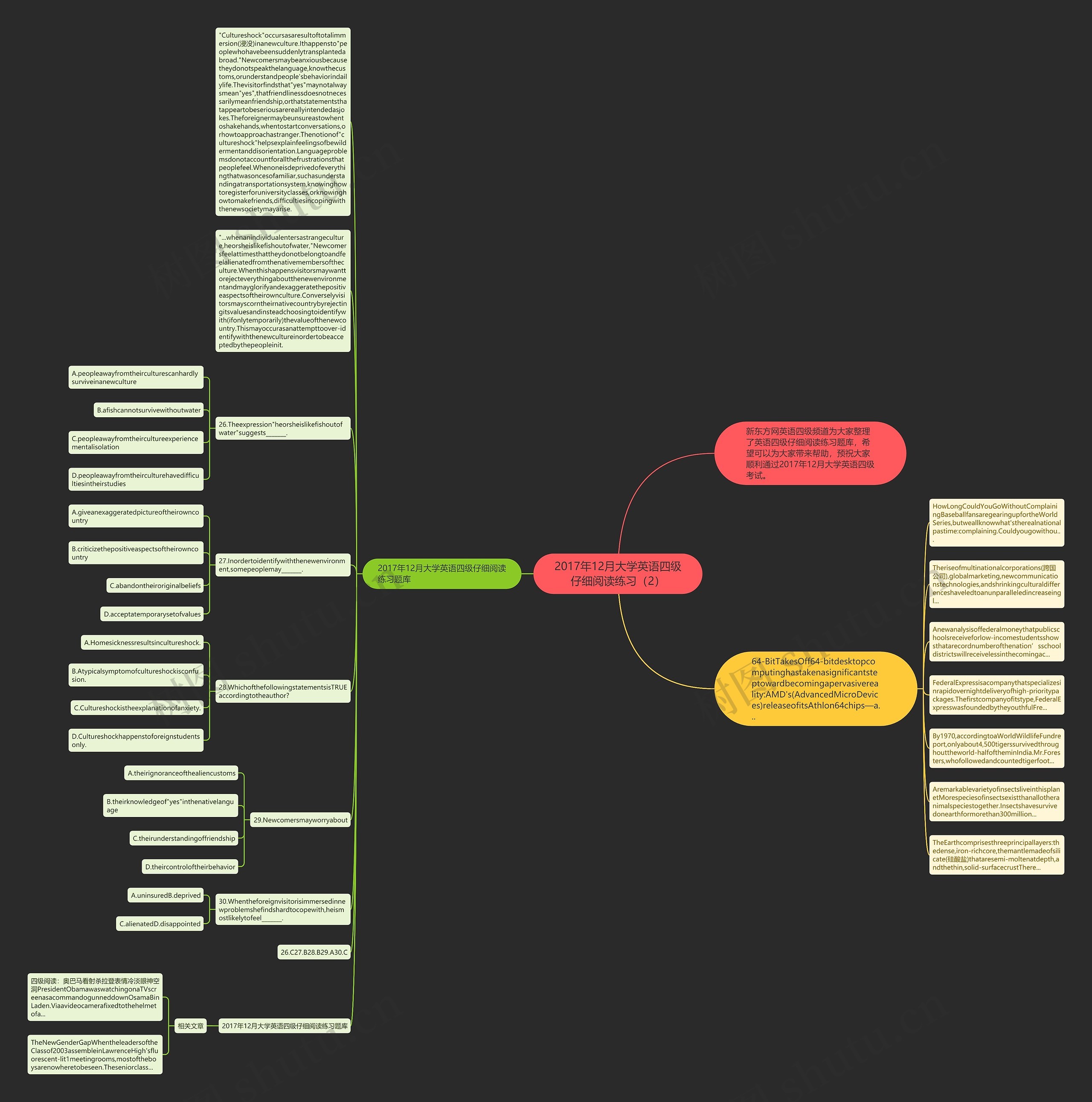 2017年12月大学英语四级仔细阅读练习（2）思维导图