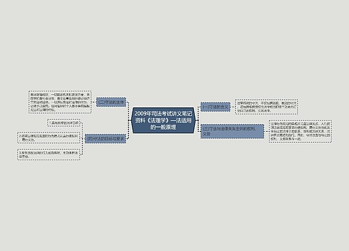 2009年司法考试讲义笔记资料《法理学》—法适用的一般原理