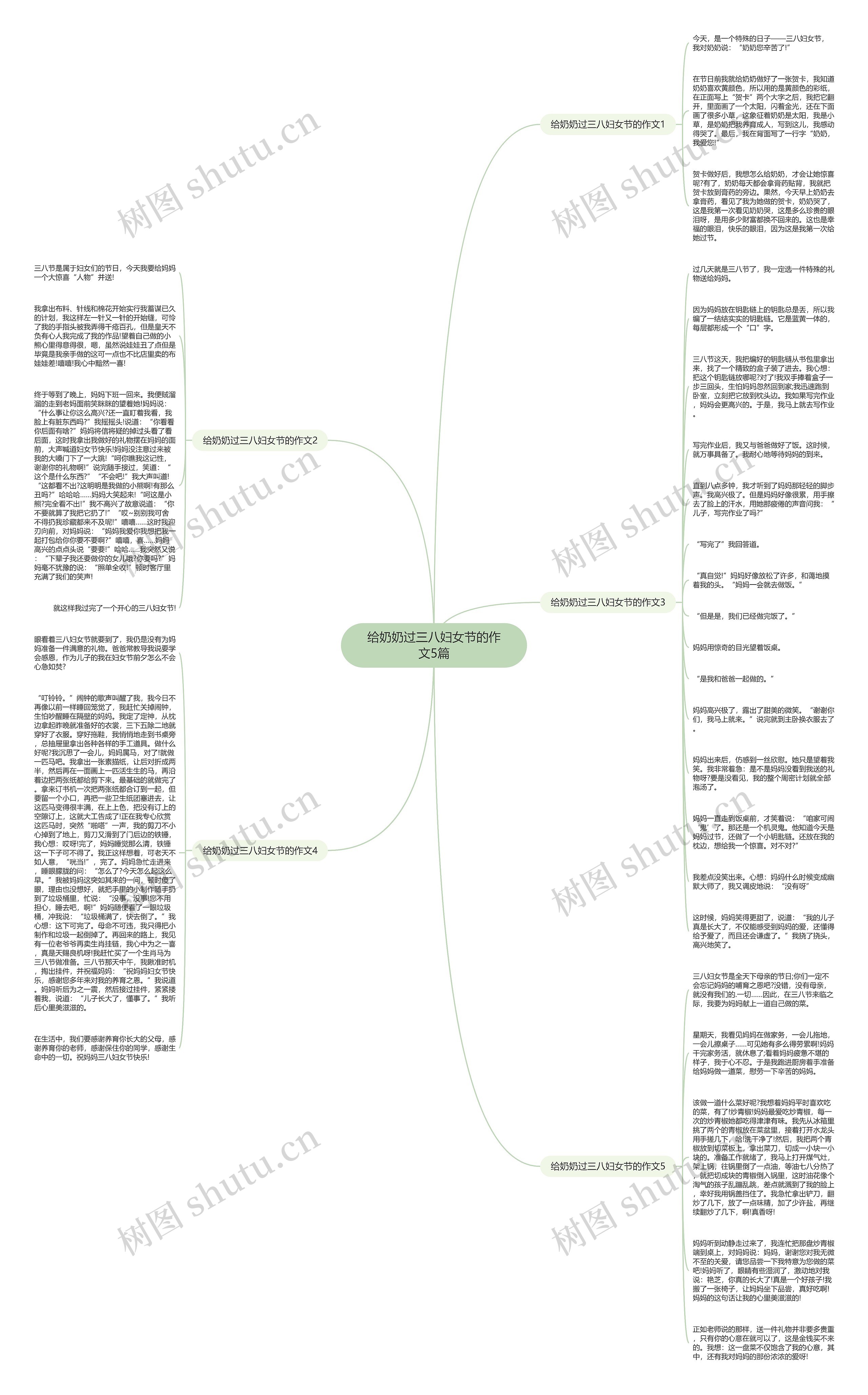 给奶奶过三八妇女节的作文5篇思维导图