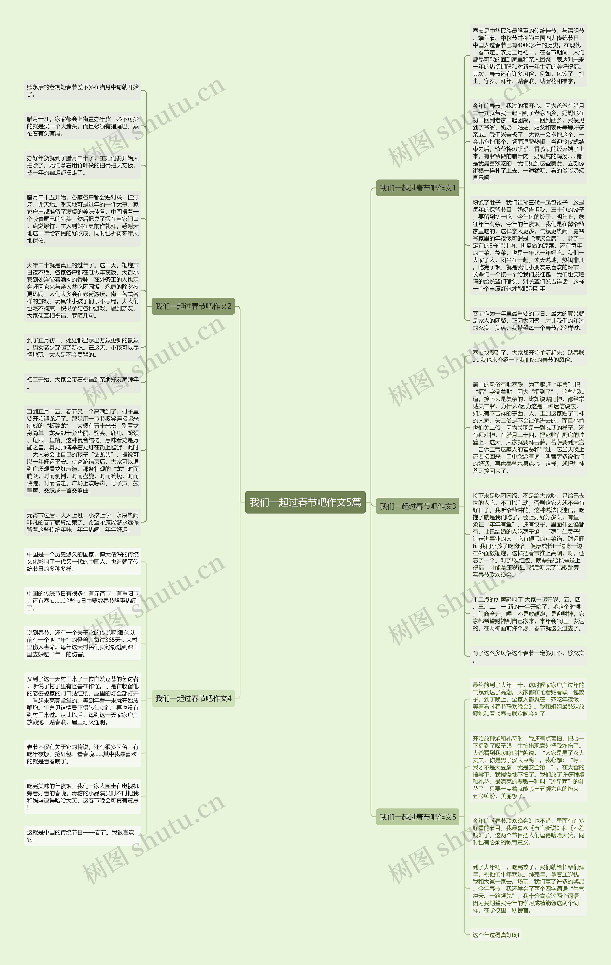 我们一起过春节吧作文5篇思维导图