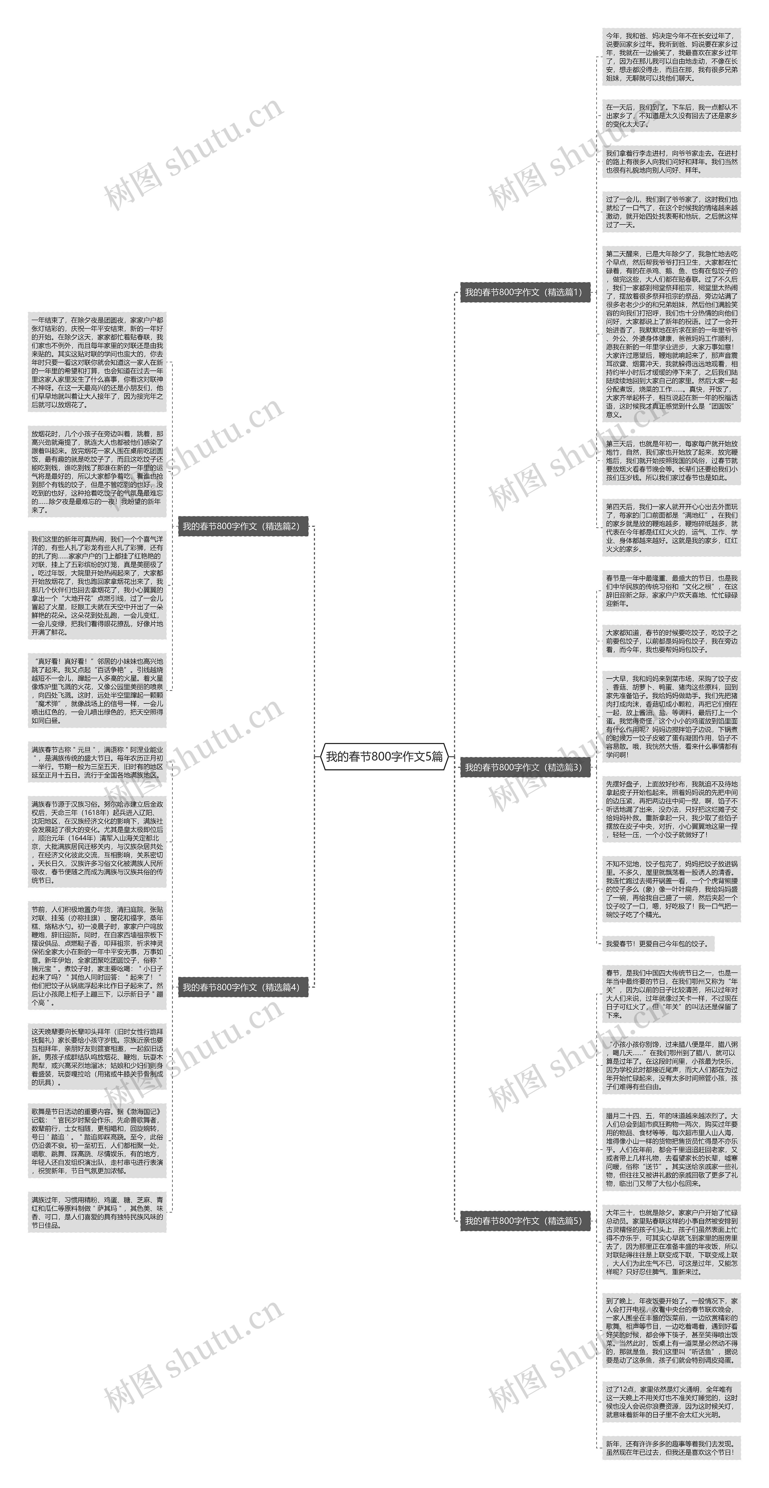 我的春节800字作文5篇思维导图