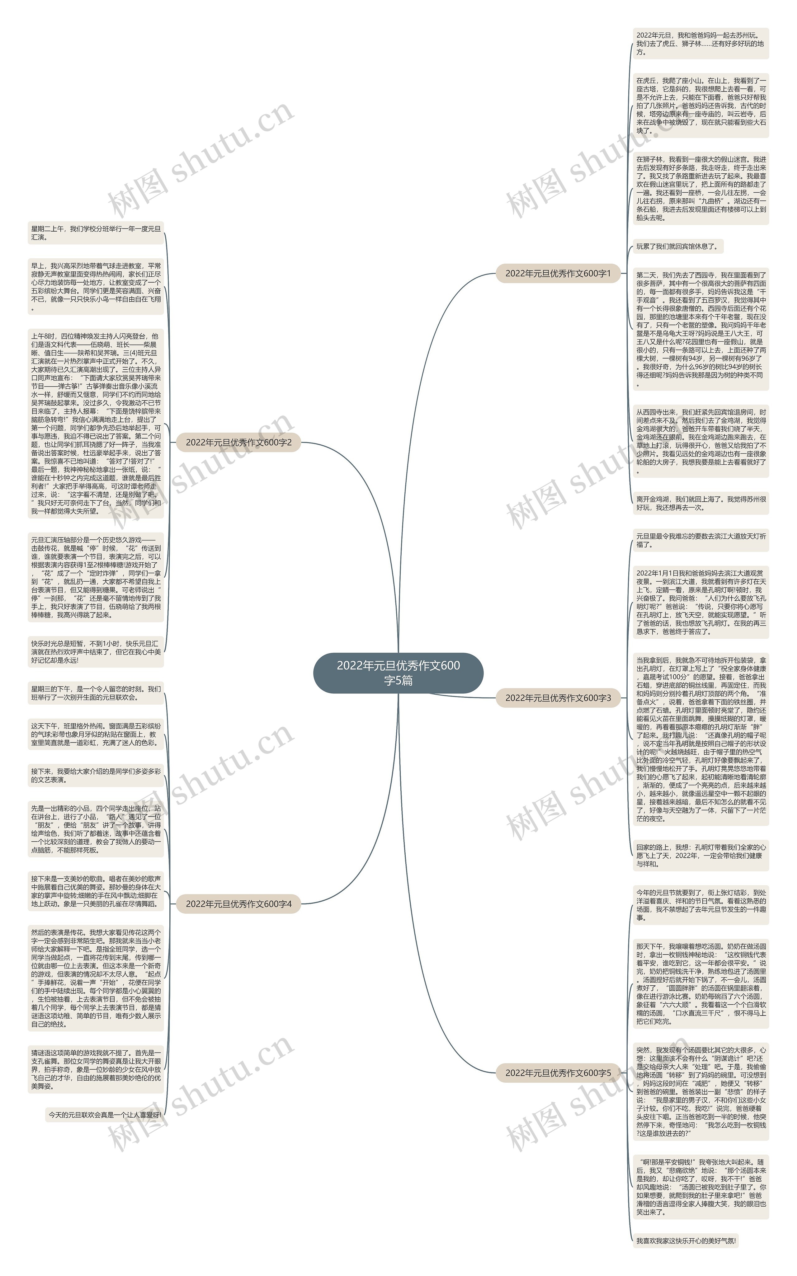 2022年元旦优秀作文600字5篇思维导图