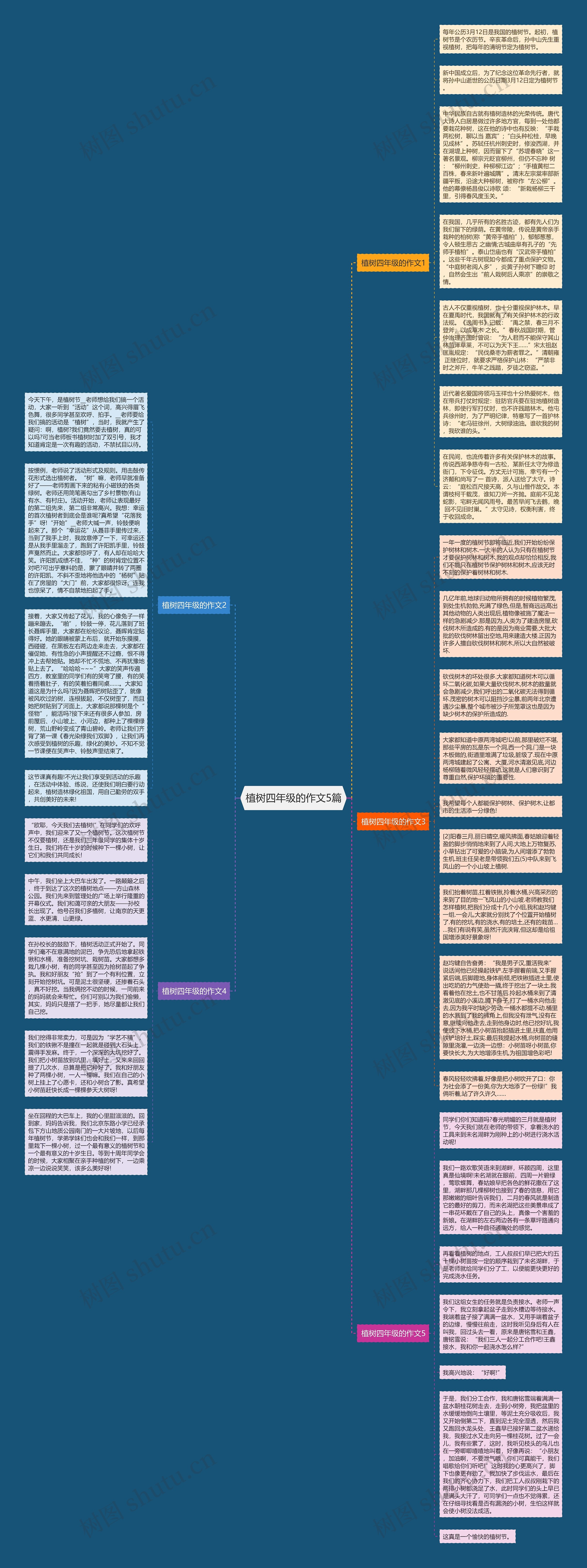 植树四年级的作文5篇思维导图