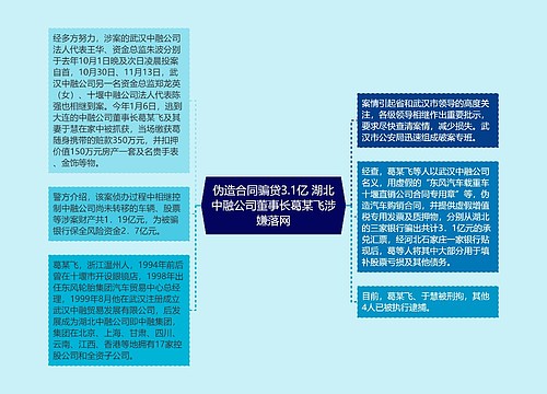 伪造合同骗贷3.1亿 湖北中融公司董事长葛某飞涉嫌落网