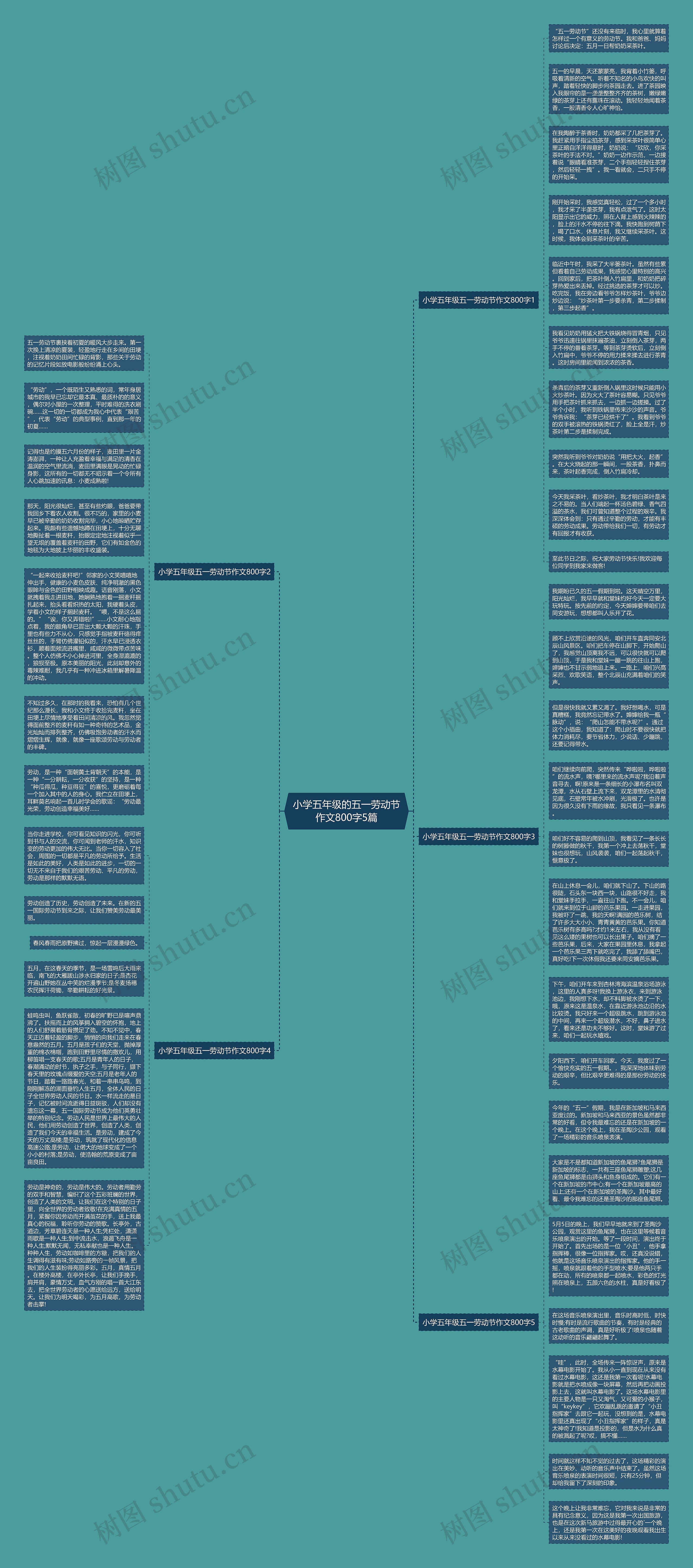 小学五年级的五一劳动节作文800字5篇思维导图