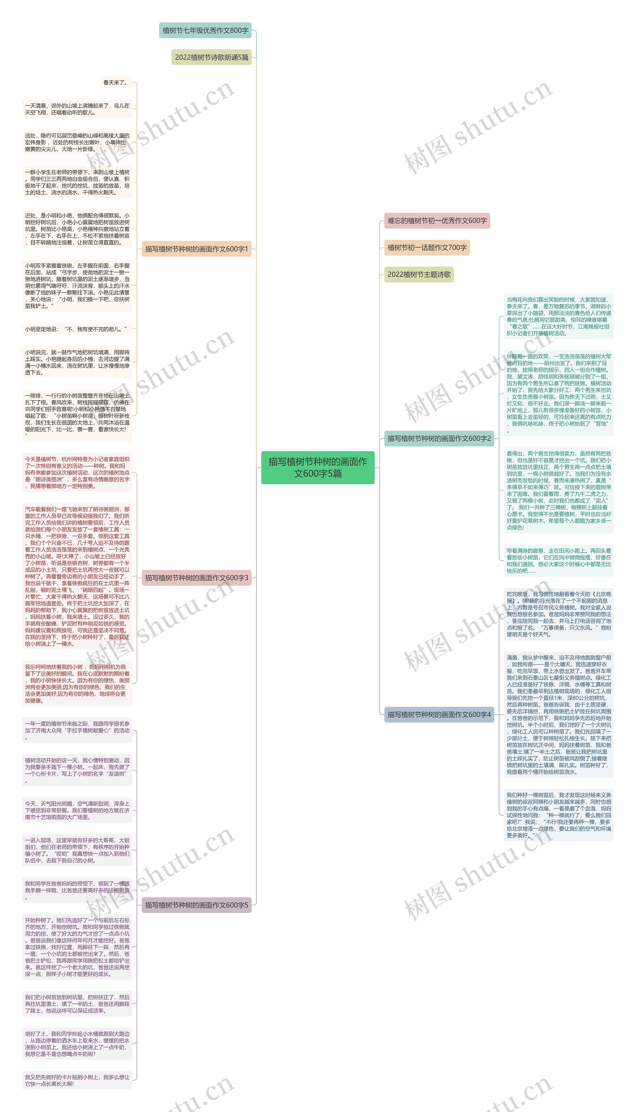 描写植树节种树的画面作文600字5篇思维导图