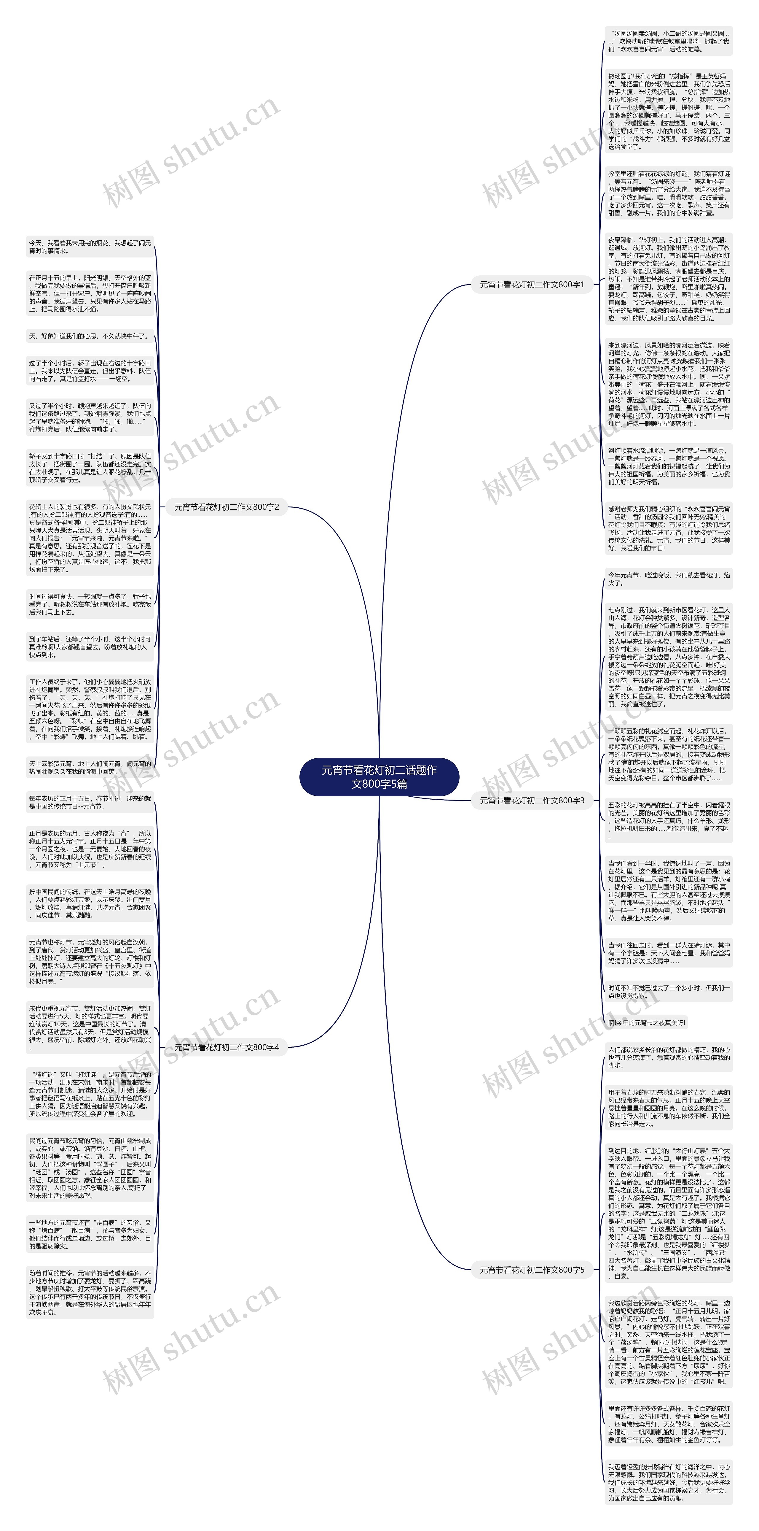 元宵节看花灯初二话题作文800字5篇思维导图