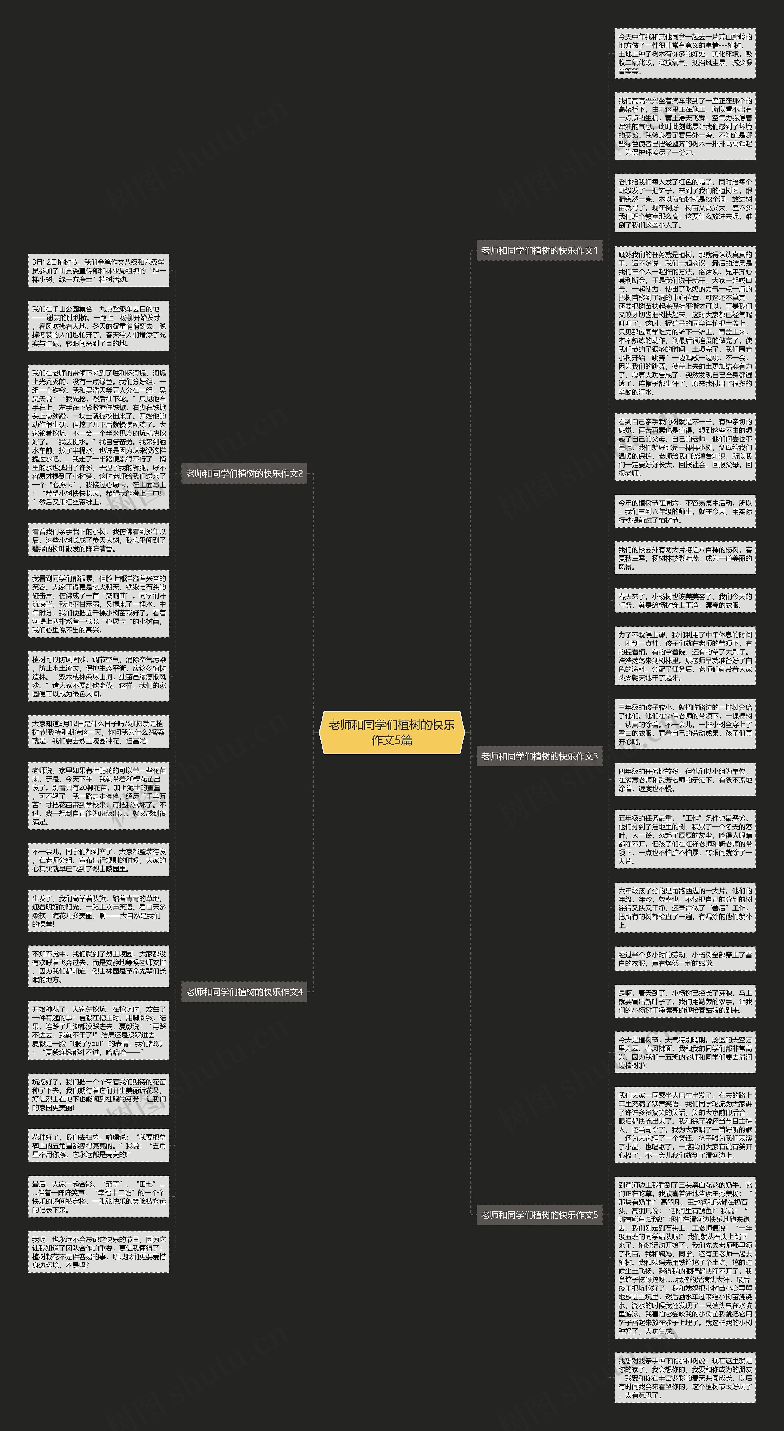 老师和同学们植树的快乐作文5篇思维导图