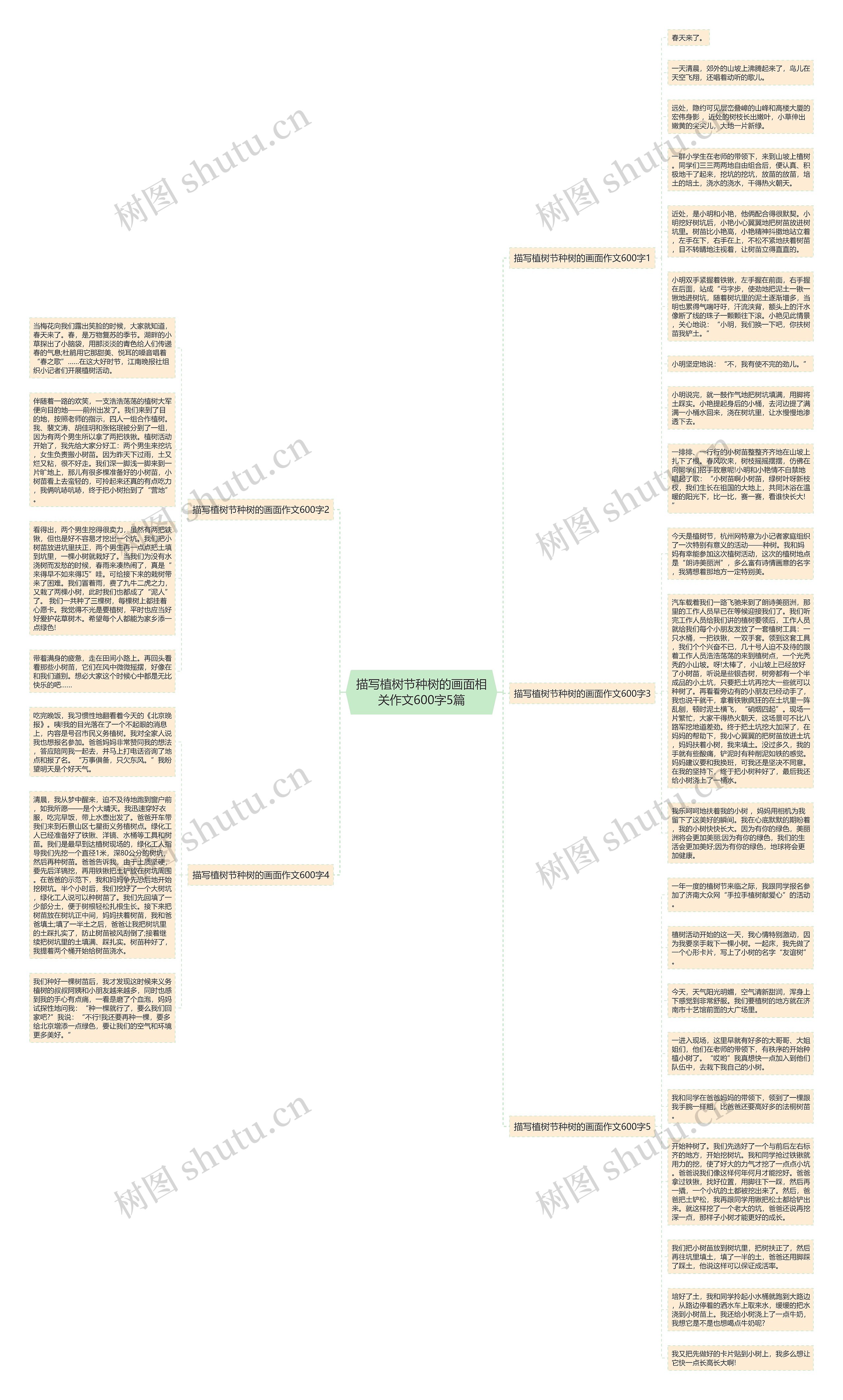 描写植树节种树的画面相关作文600字5篇思维导图