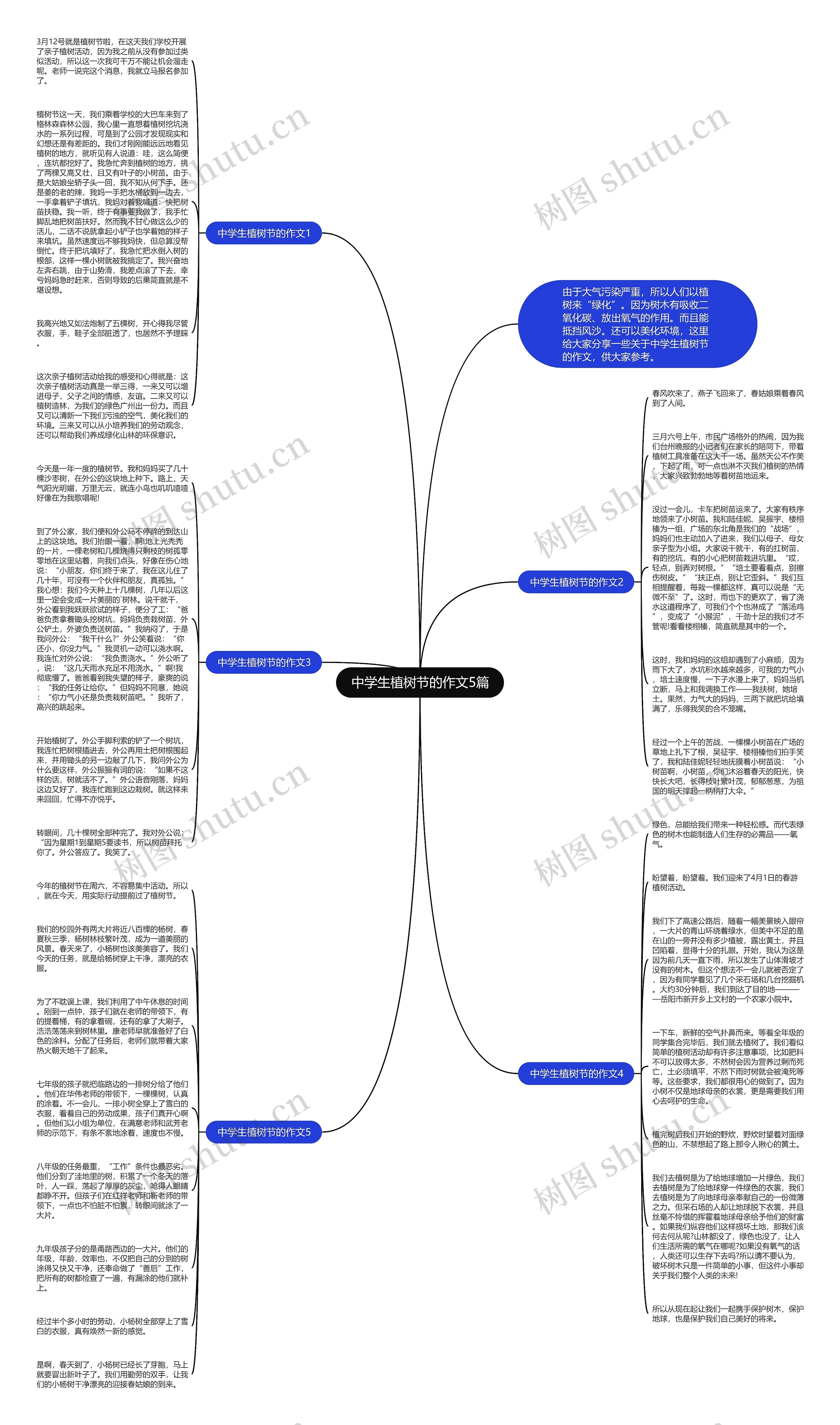 中学生植树节的作文5篇思维导图
