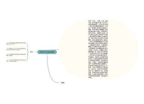 刑事诉讼法案例精析