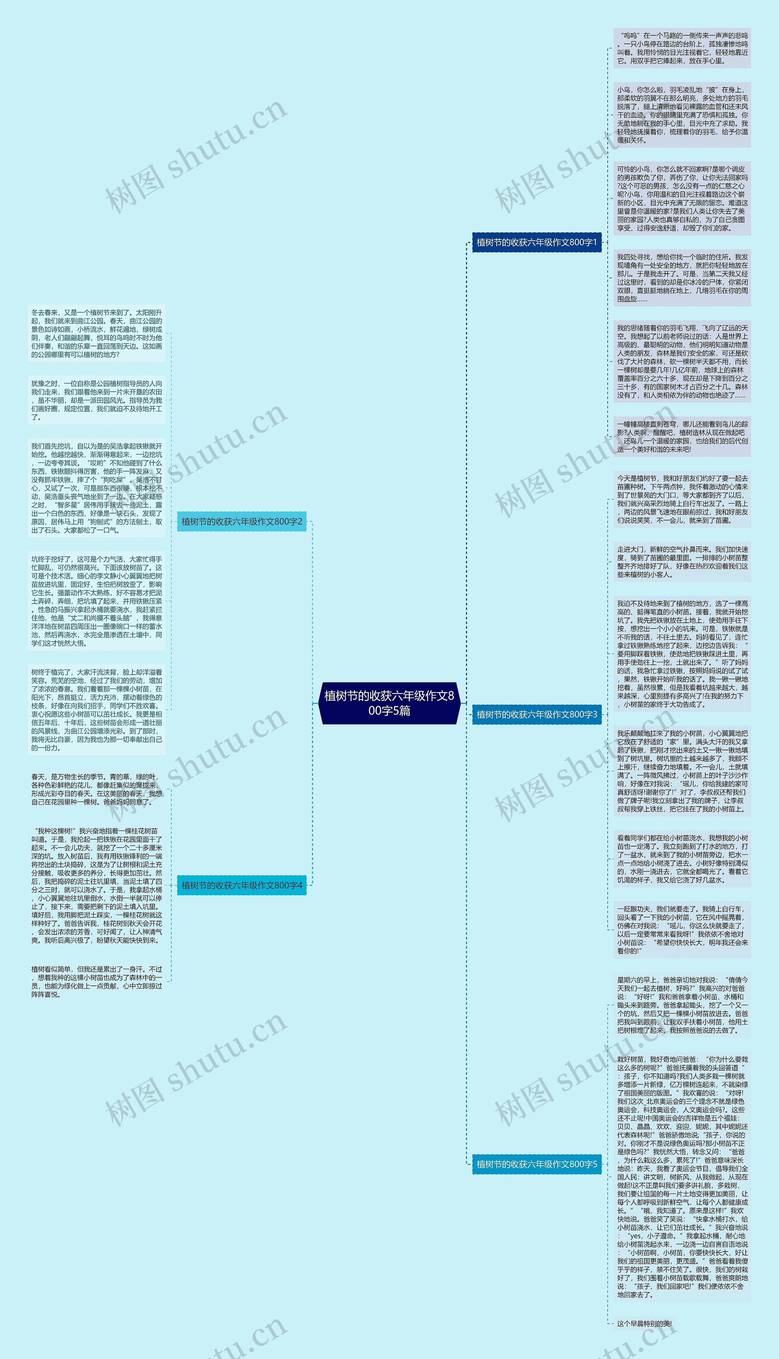 植树节的收获六年级作文800字5篇思维导图
