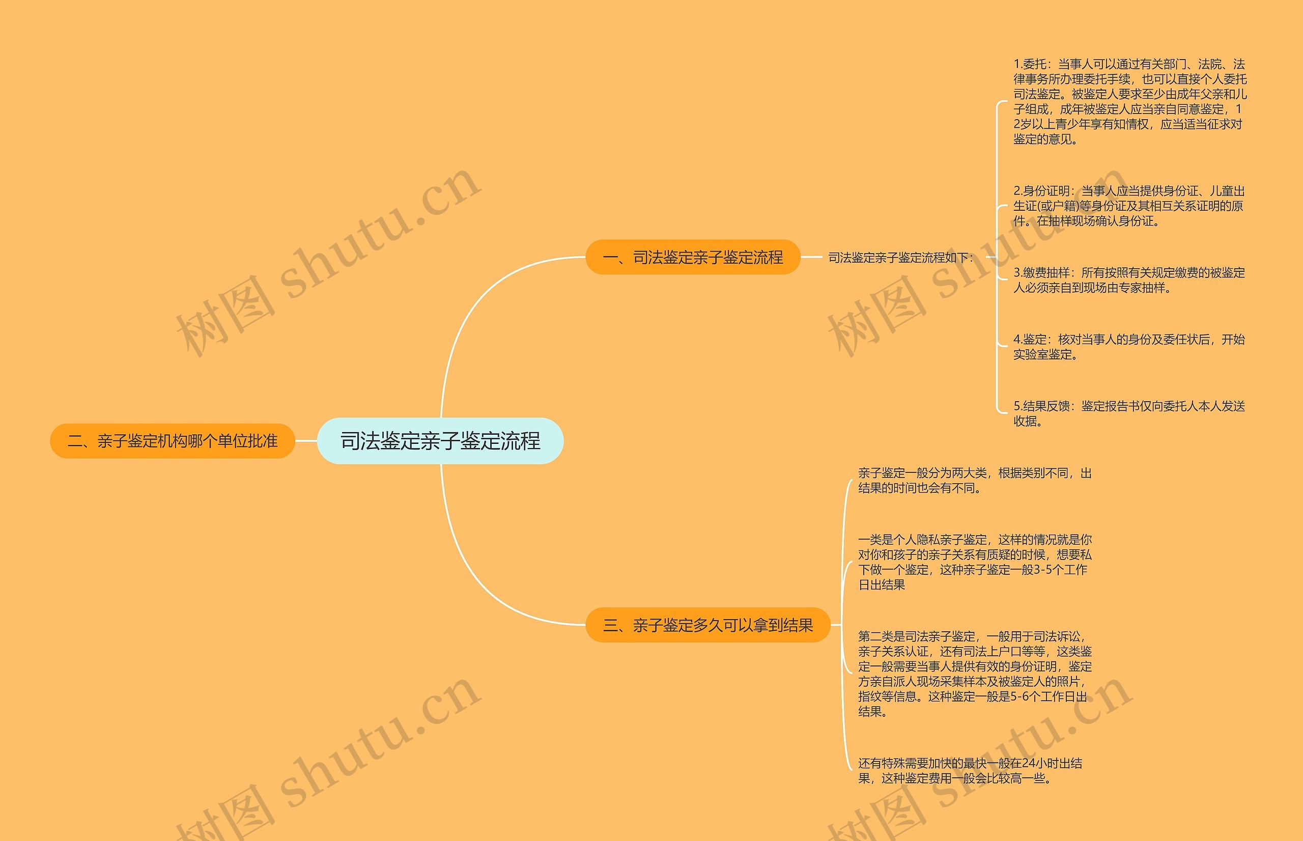 司法鉴定亲子鉴定流程思维导图