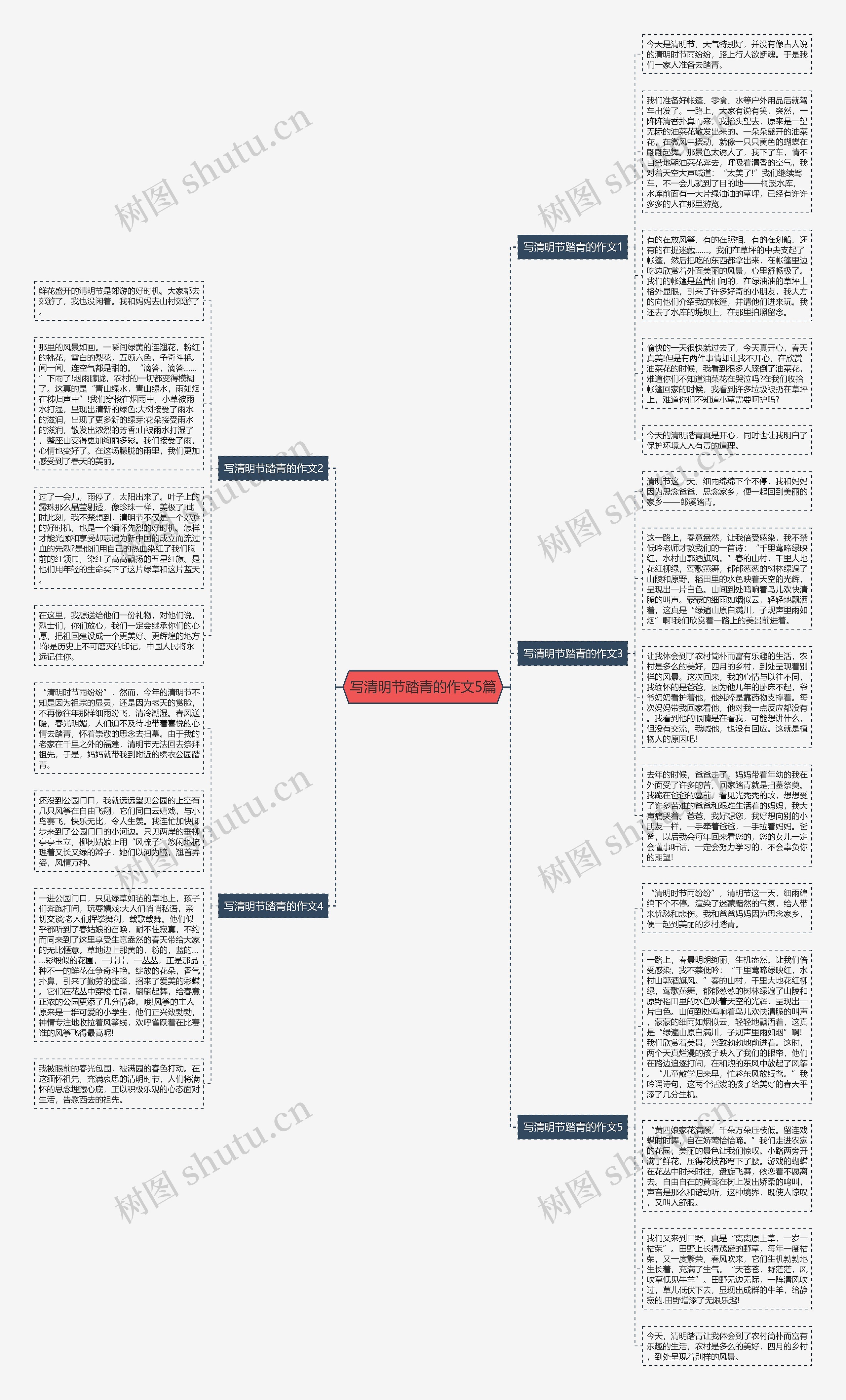 写清明节踏青的作文5篇思维导图