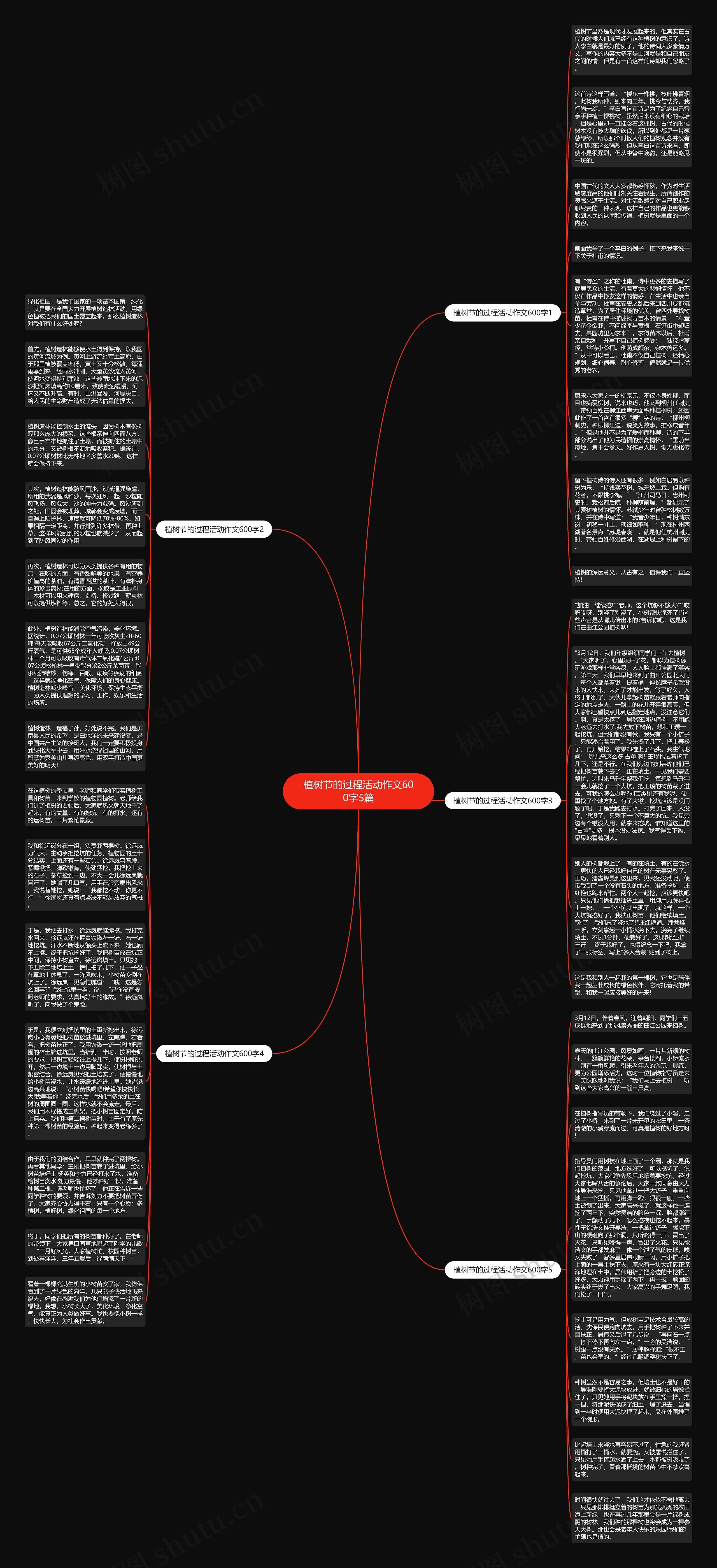 植树节的过程活动作文600字5篇思维导图