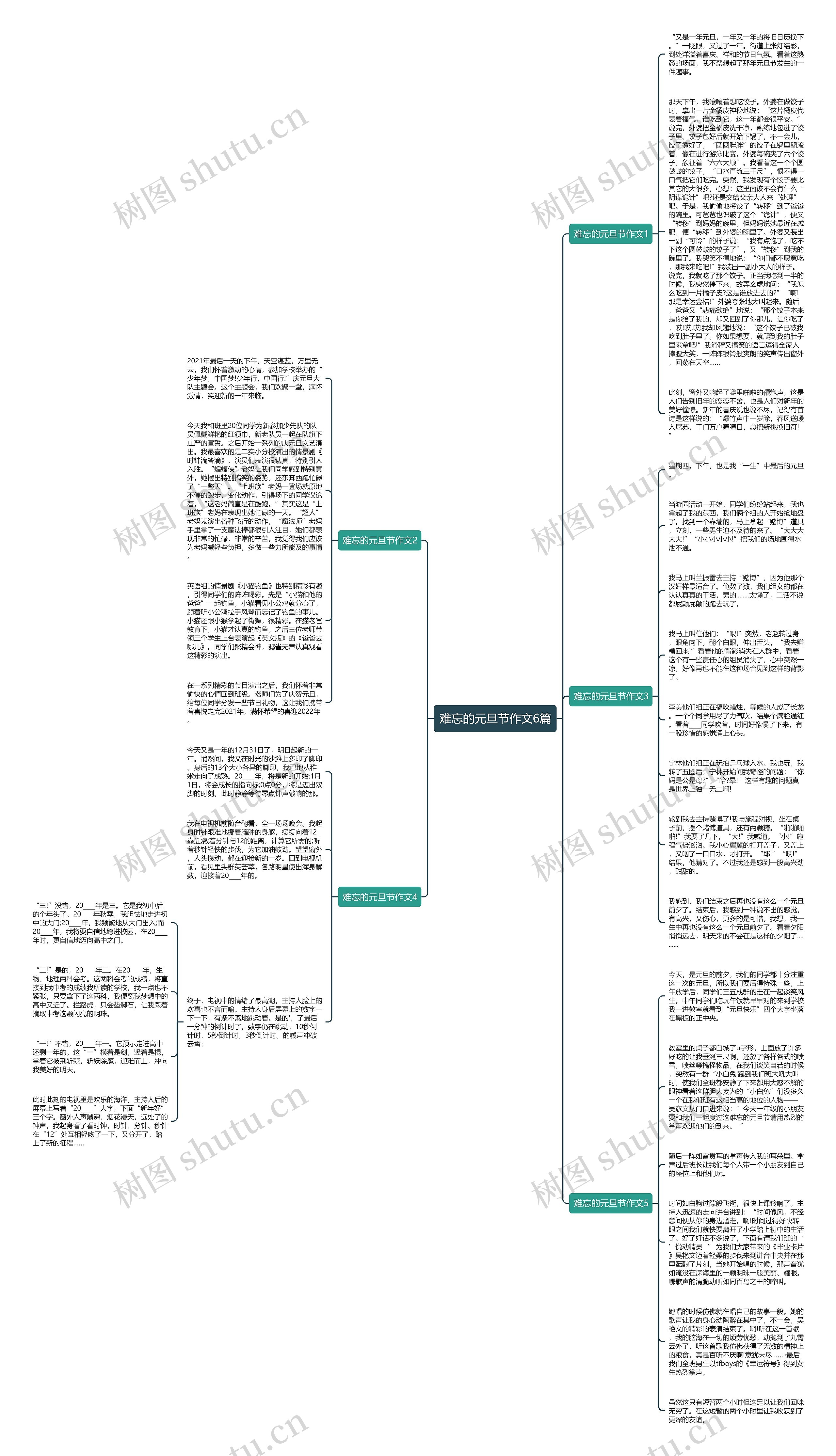 难忘的元旦节作文6篇思维导图
