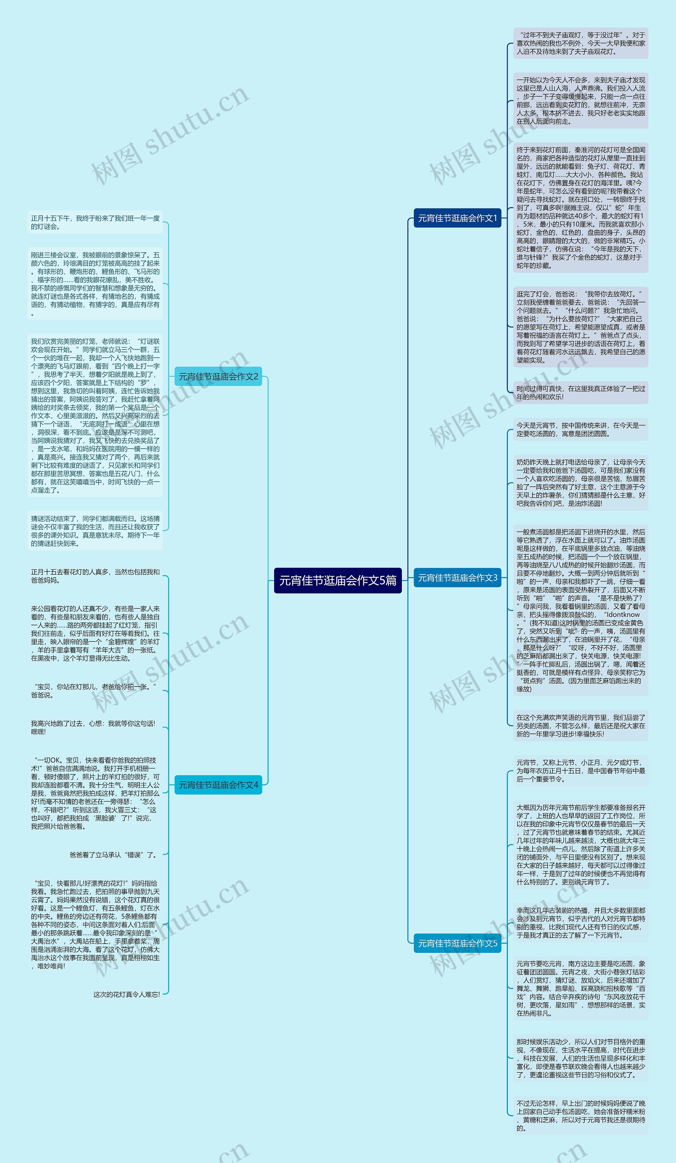 元宵佳节逛庙会作文5篇思维导图