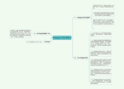 伤残鉴定证明在哪里开