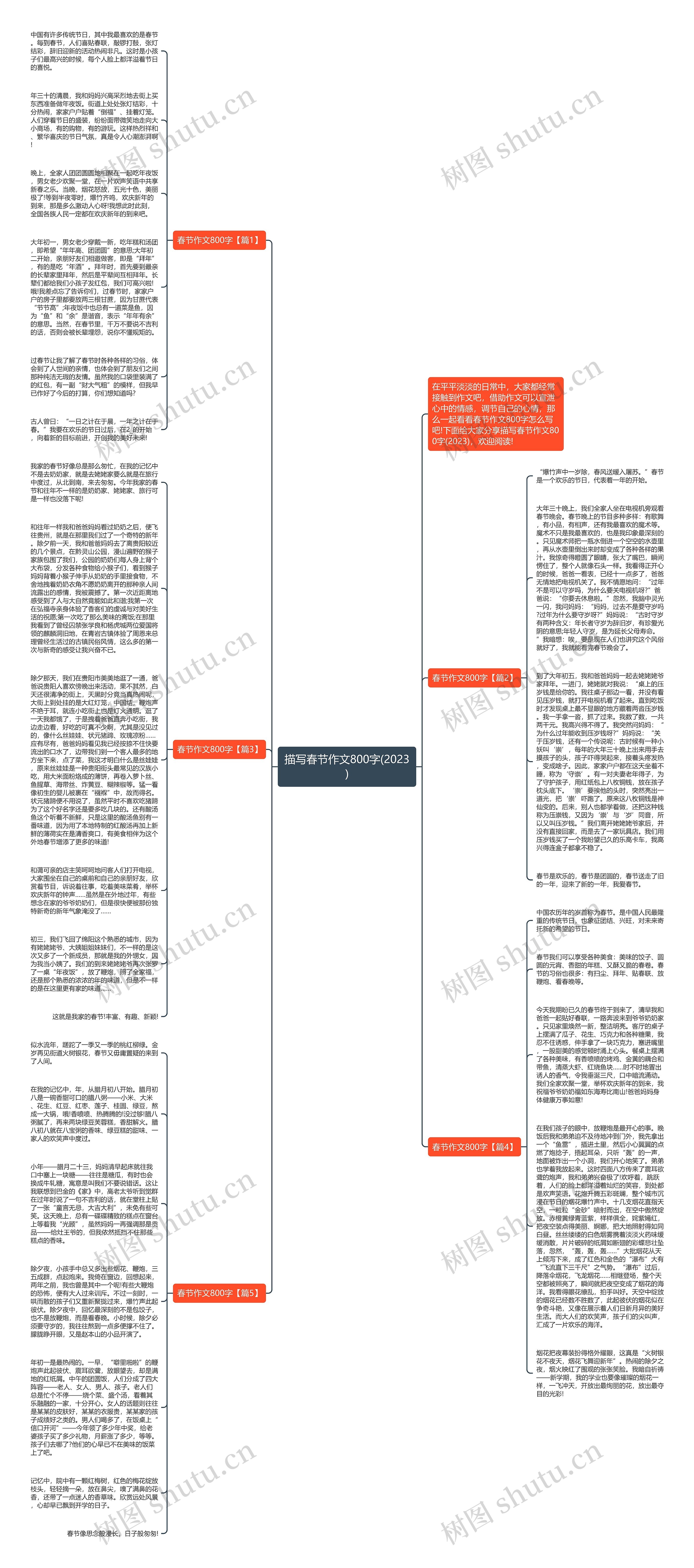 描写春节作文800字(2023)思维导图