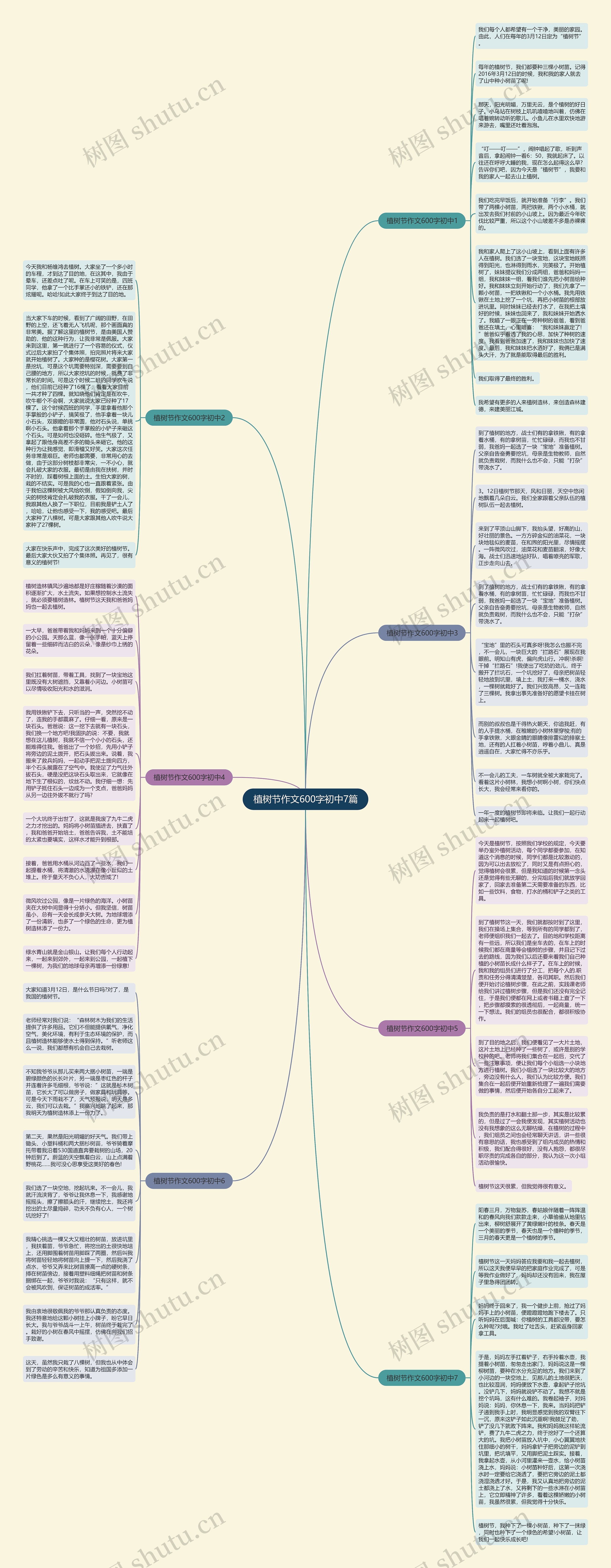 植树节作文600字初中7篇思维导图