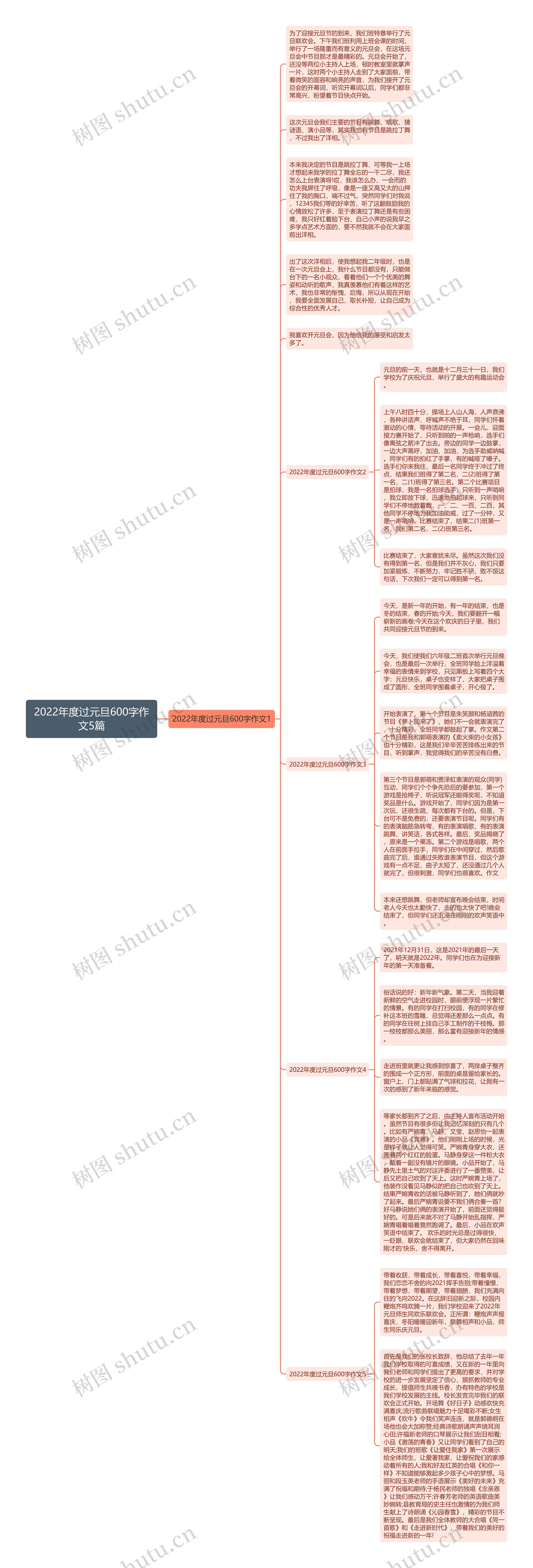 2022年度过元旦600字作文5篇