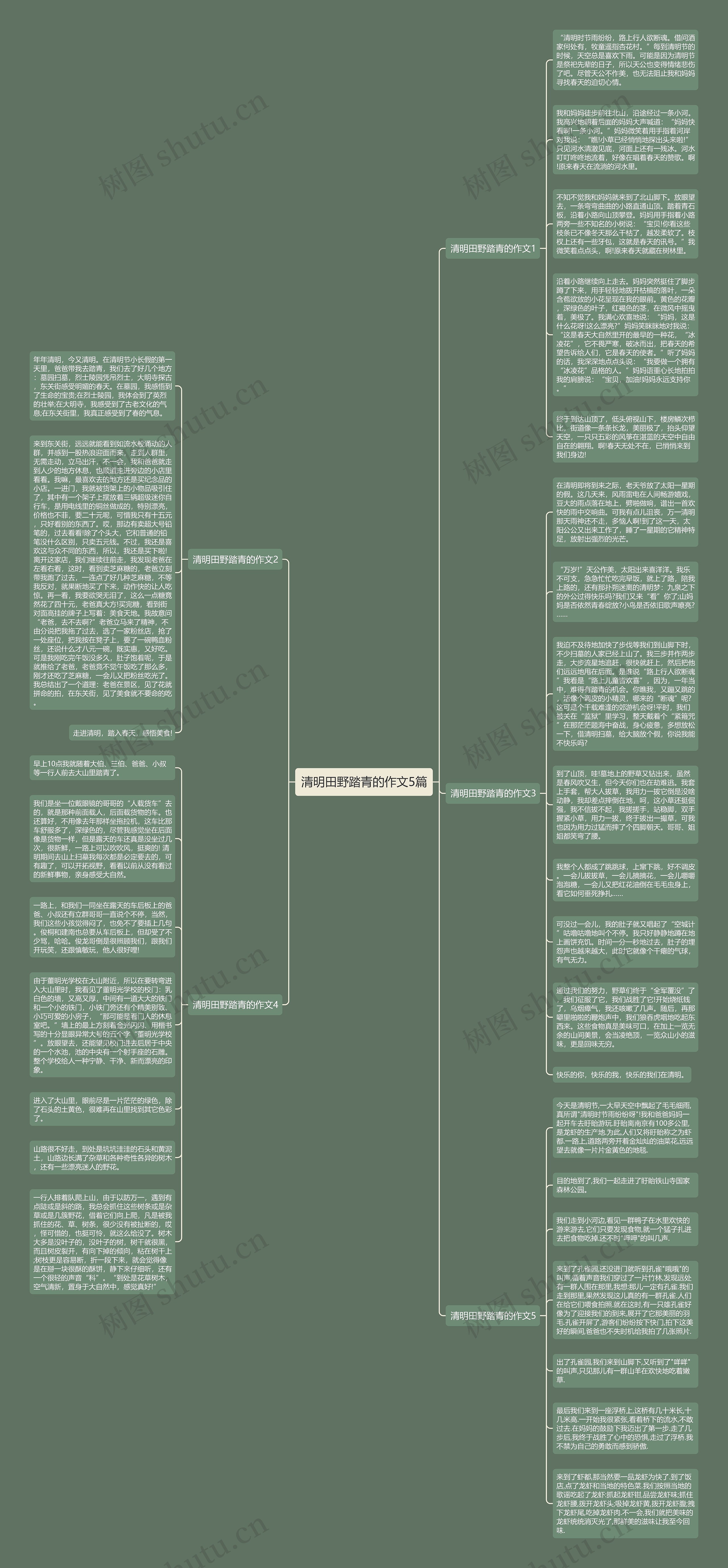 清明田野踏青的作文5篇思维导图