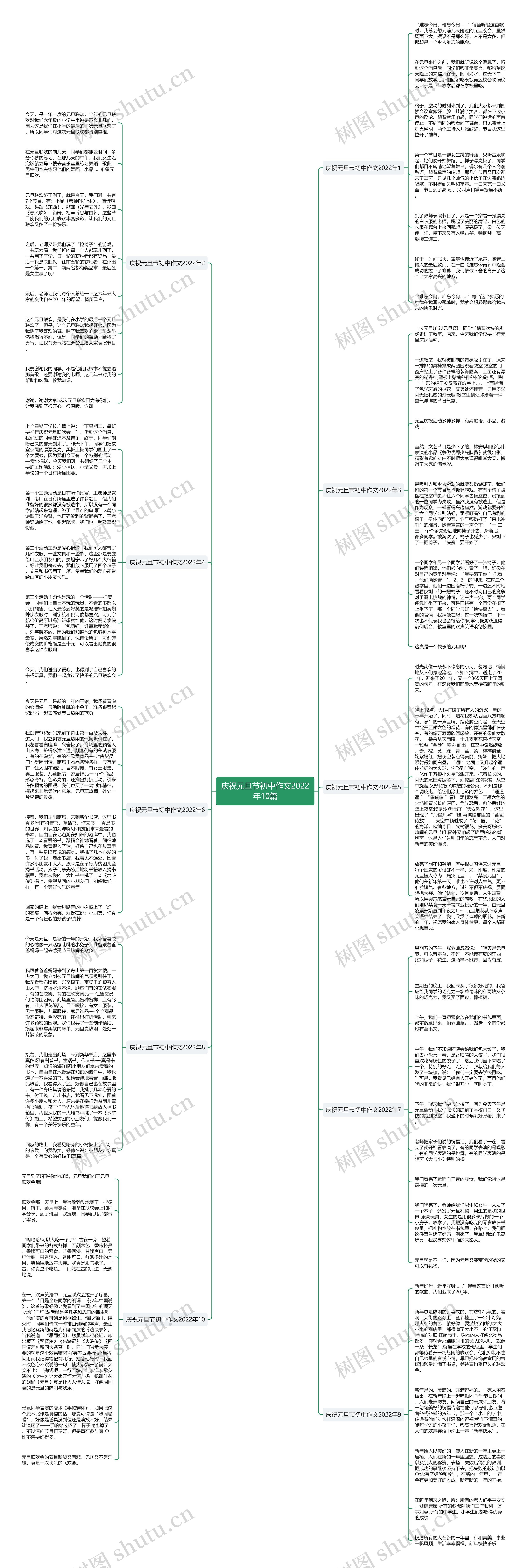庆祝元旦节初中作文2022年10篇思维导图