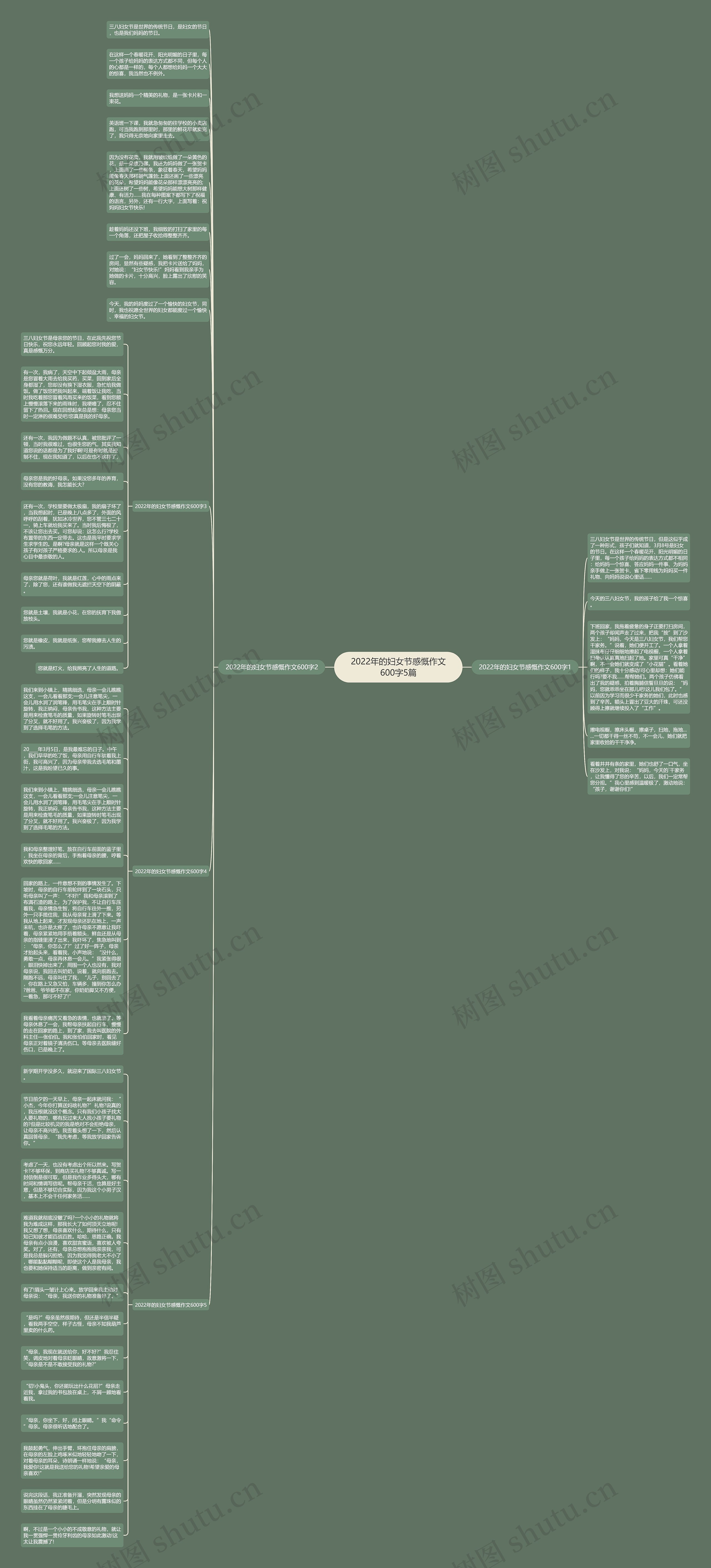 2022年的妇女节感慨作文600字5篇思维导图