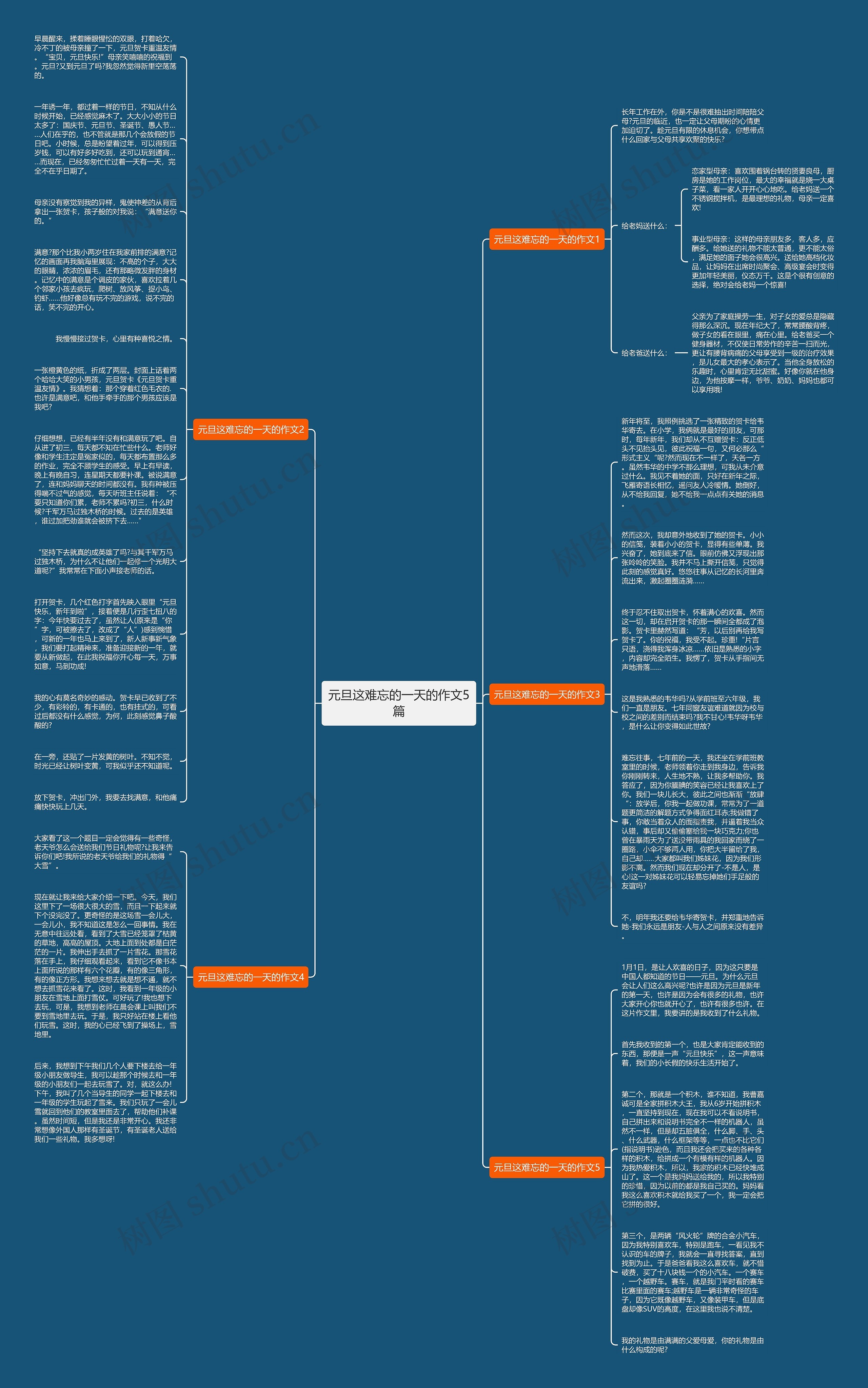 元旦这难忘的一天的作文5篇思维导图