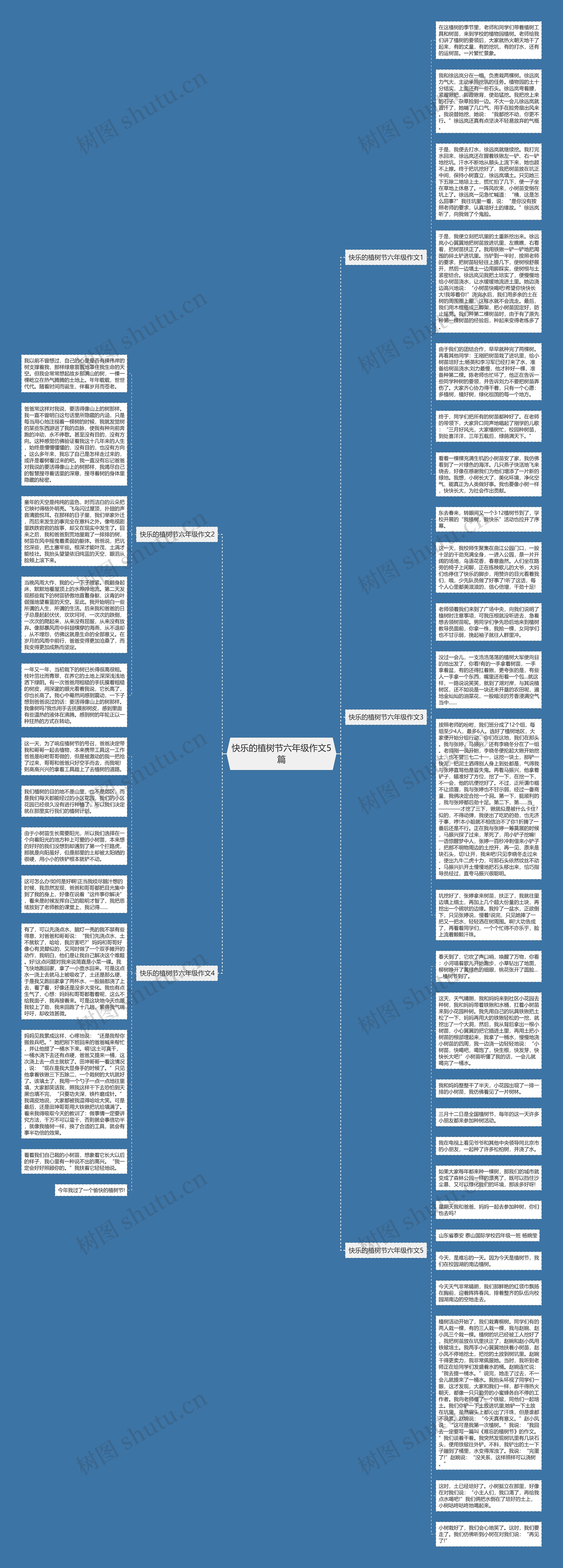 快乐的植树节六年级作文5篇思维导图