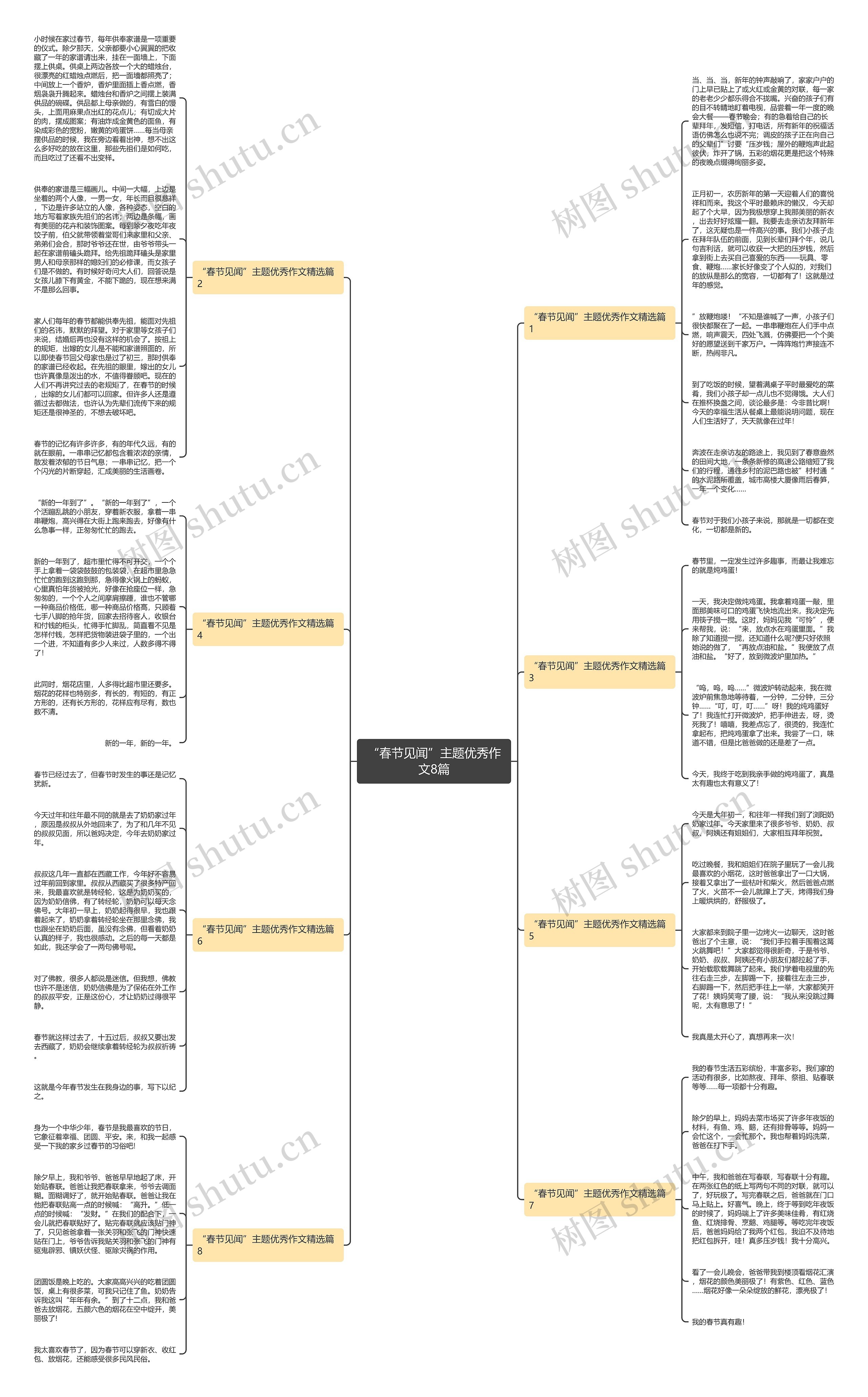 “春节见闻”主题优秀作文8篇思维导图