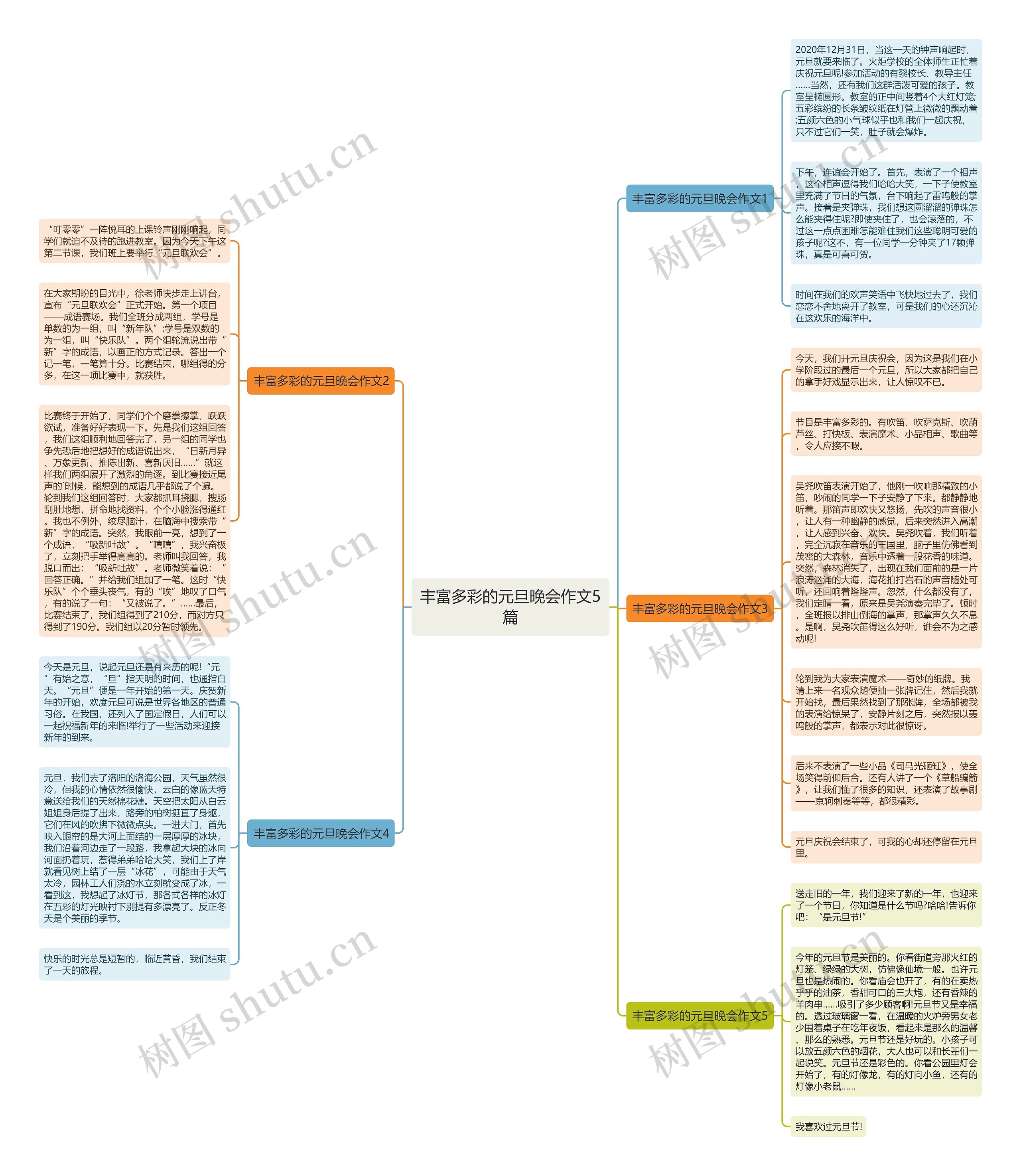 丰富多彩的元旦晚会作文5篇思维导图