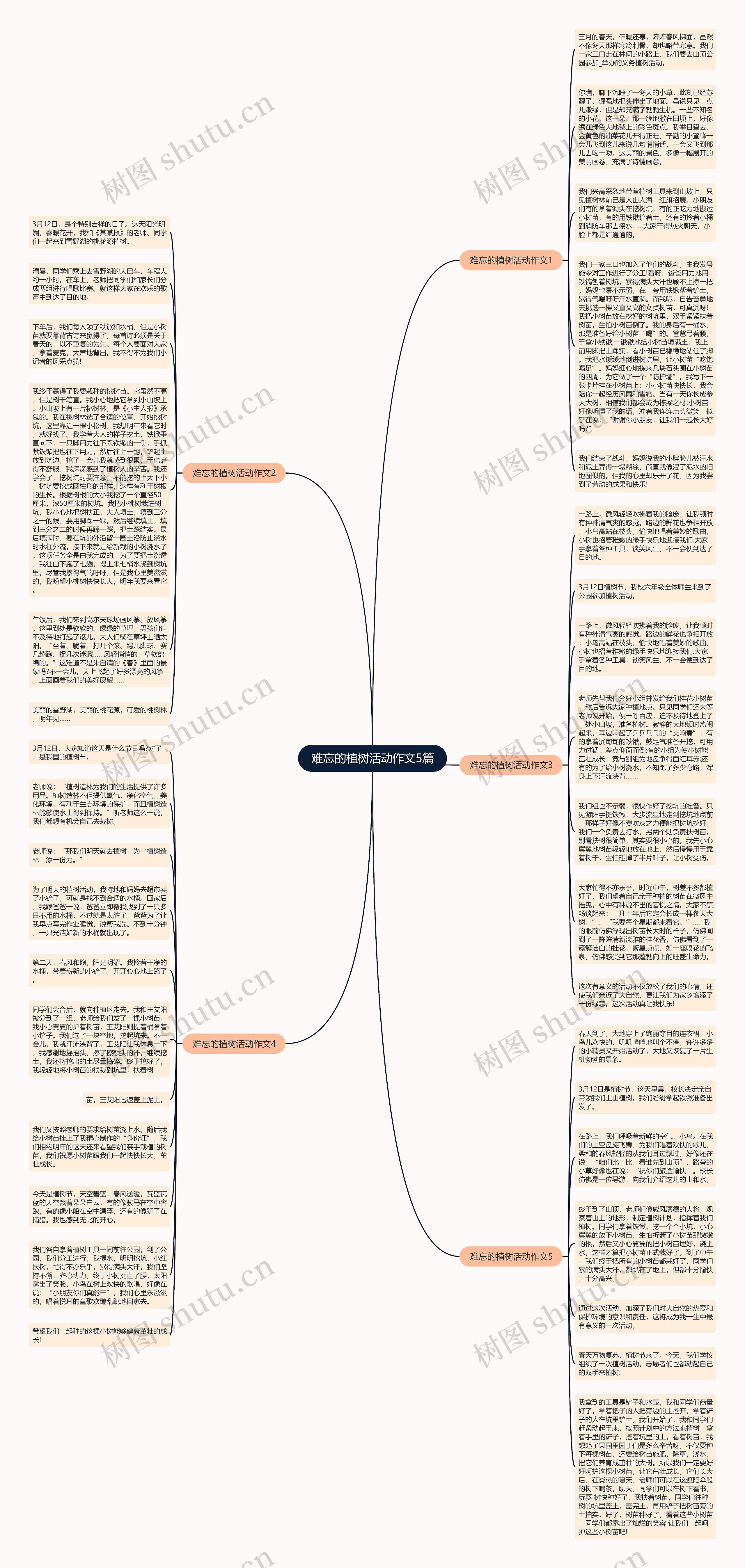 难忘的植树活动作文5篇思维导图