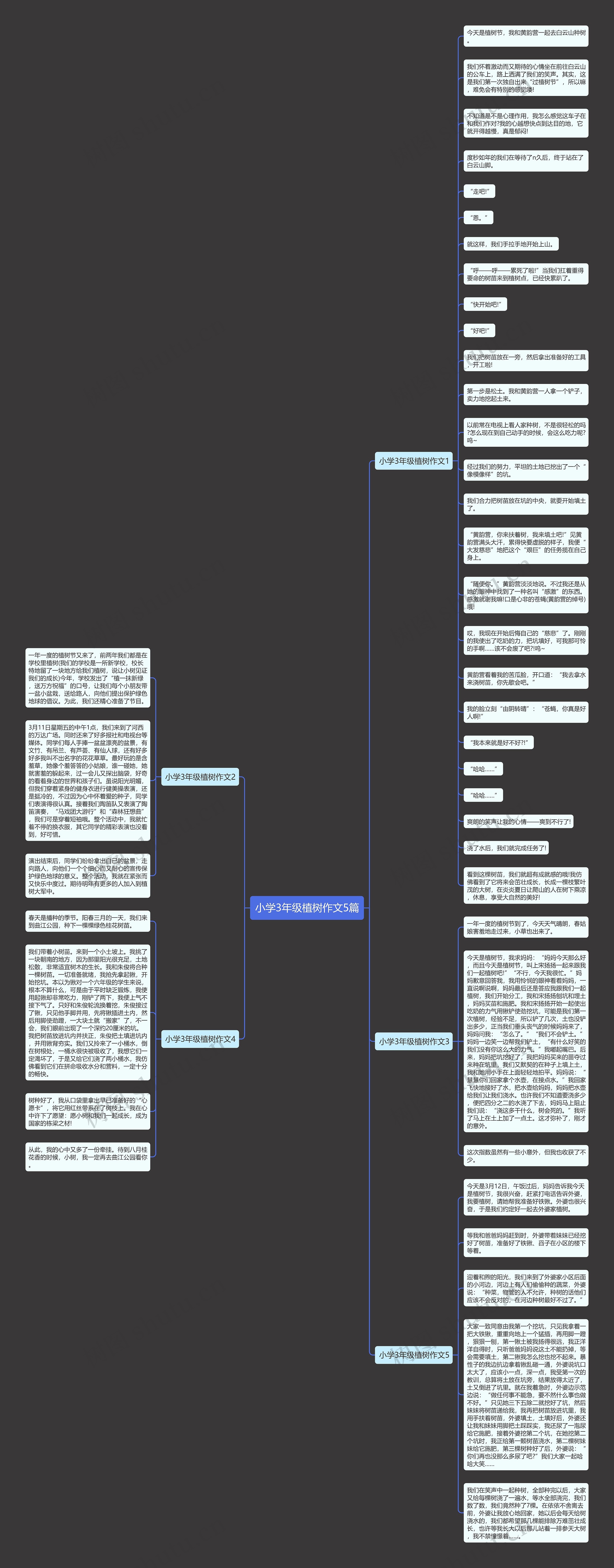 小学3年级植树作文5篇思维导图