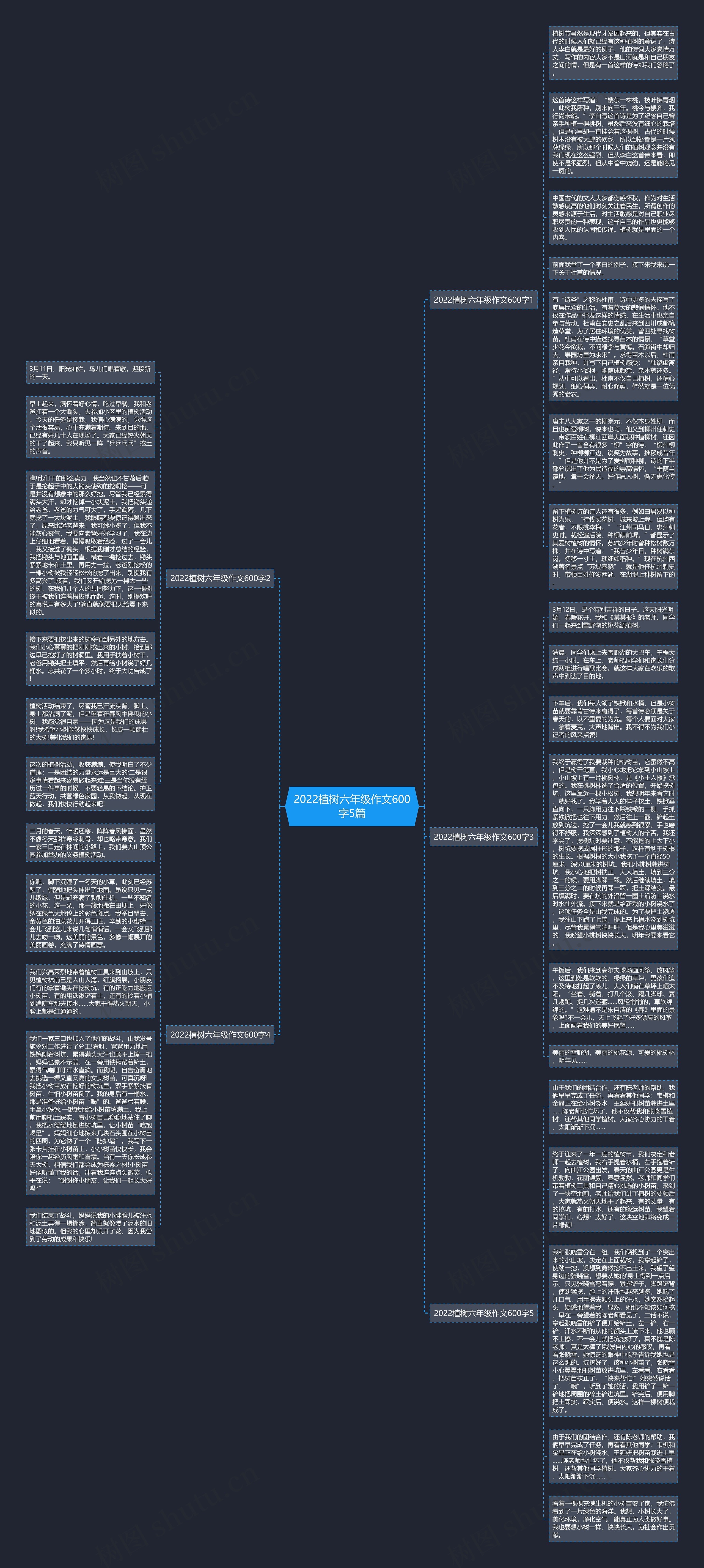 2022植树六年级作文600字5篇思维导图