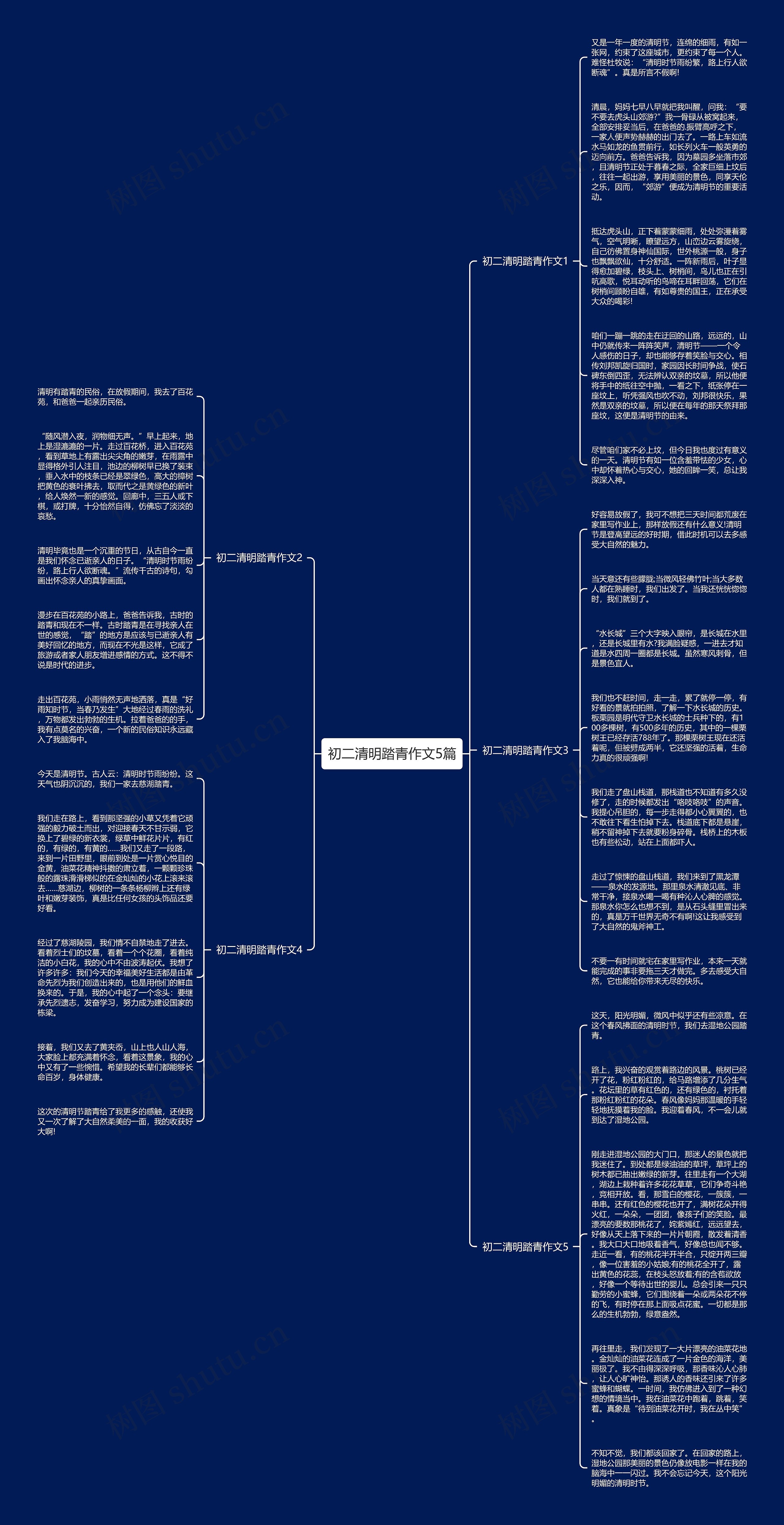 初二清明踏青作文5篇思维导图