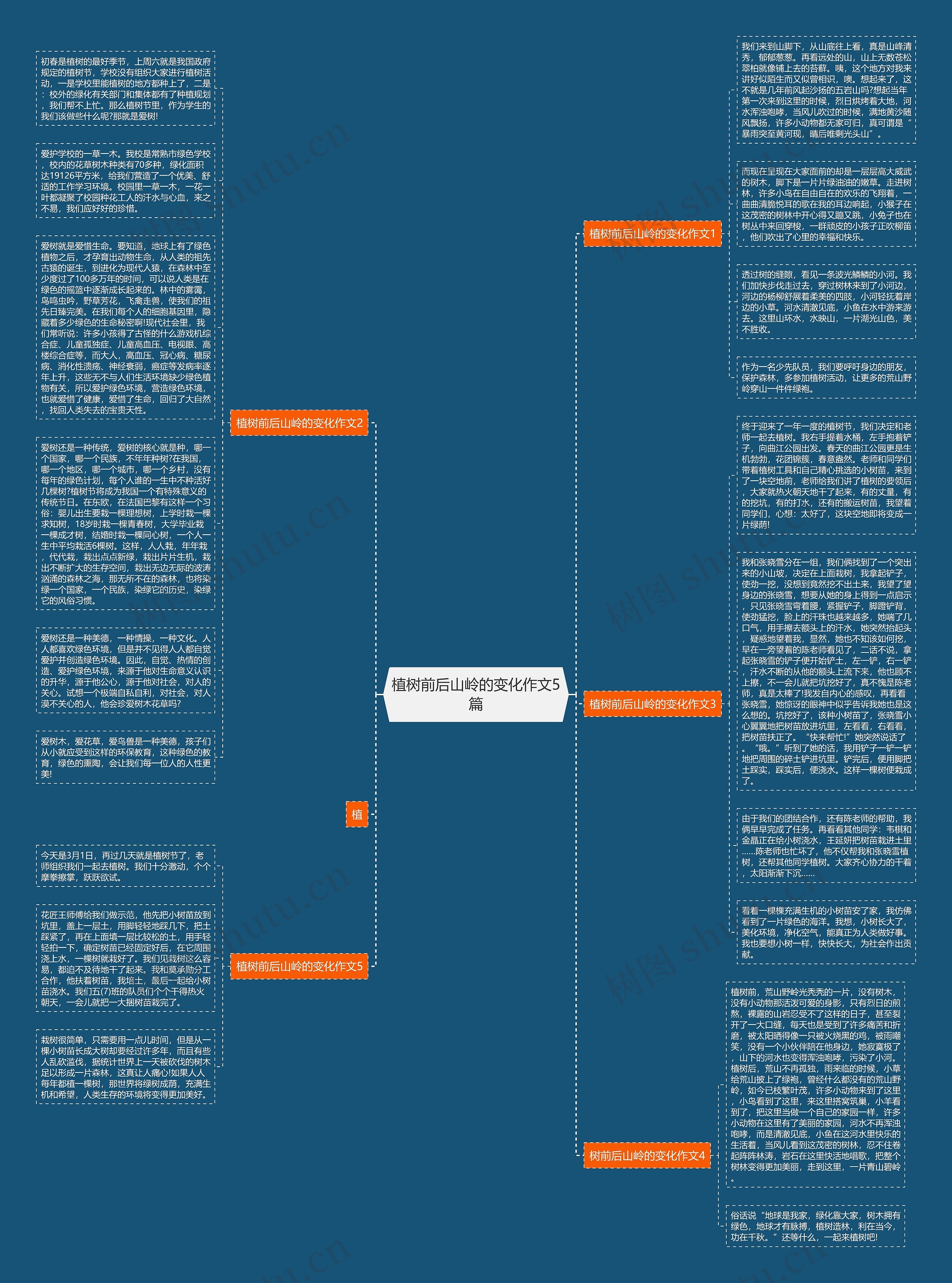 植树前后山岭的变化作文5篇思维导图
