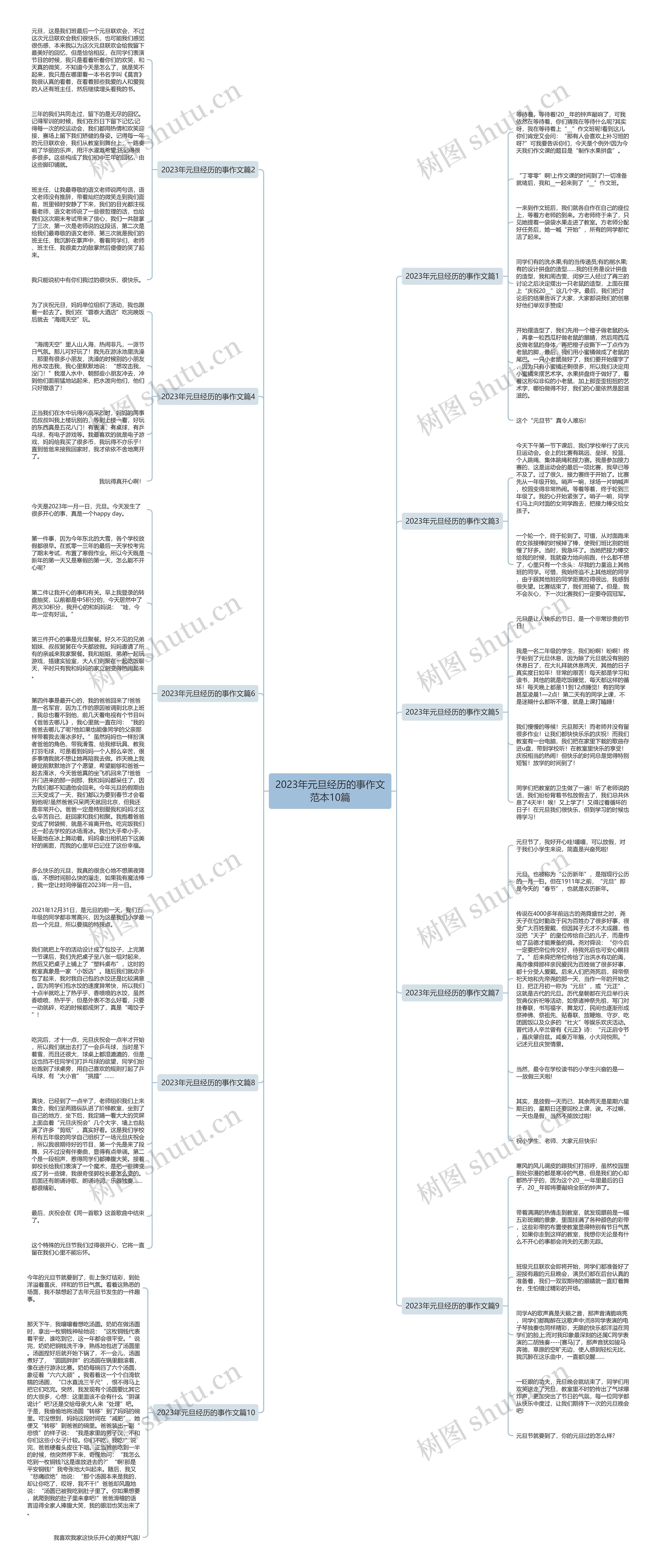 2023年元旦经历的事作文范本10篇思维导图