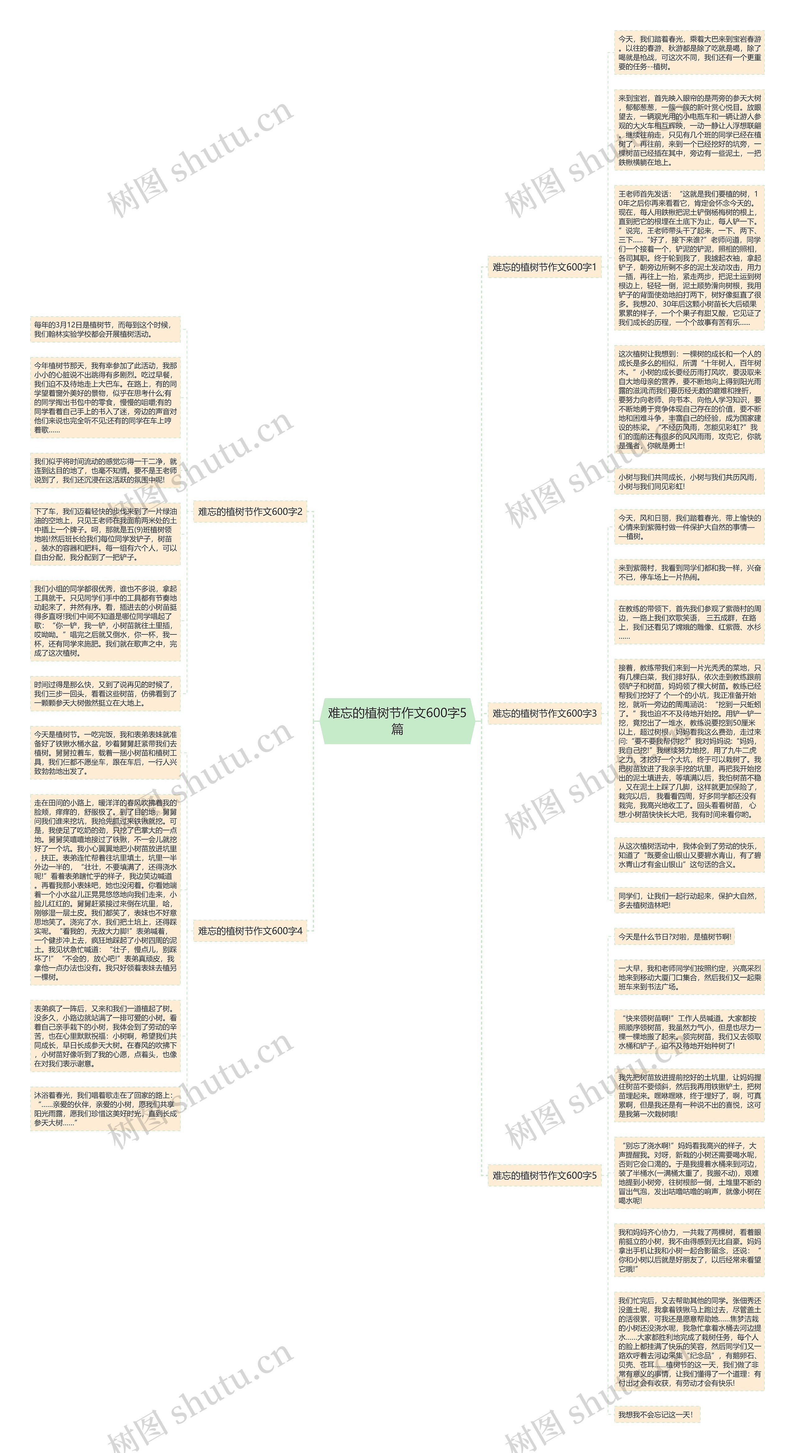 难忘的植树节作文600字5篇思维导图