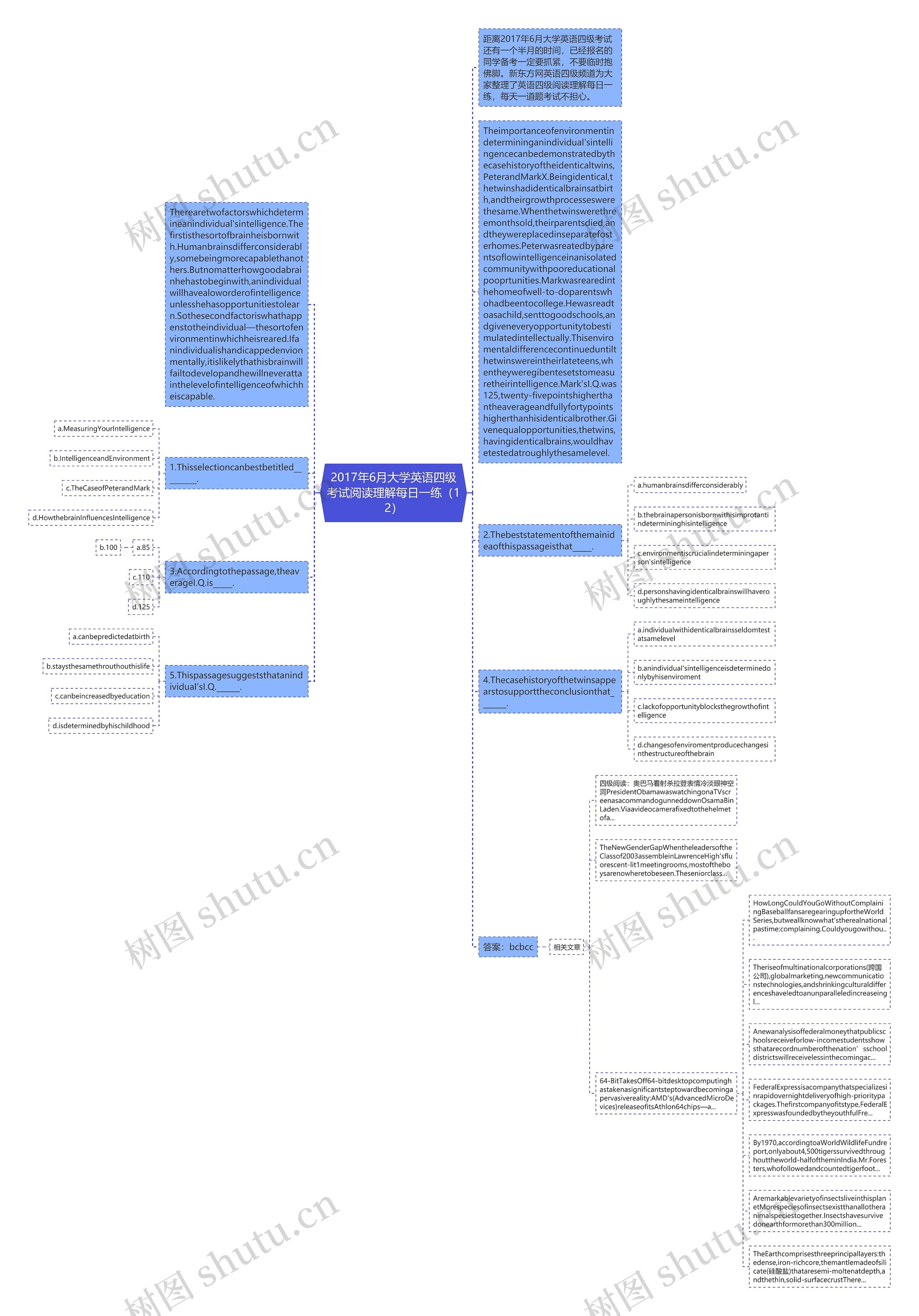 2017年6月大学英语四级考试阅读理解每日一练（12）思维导图