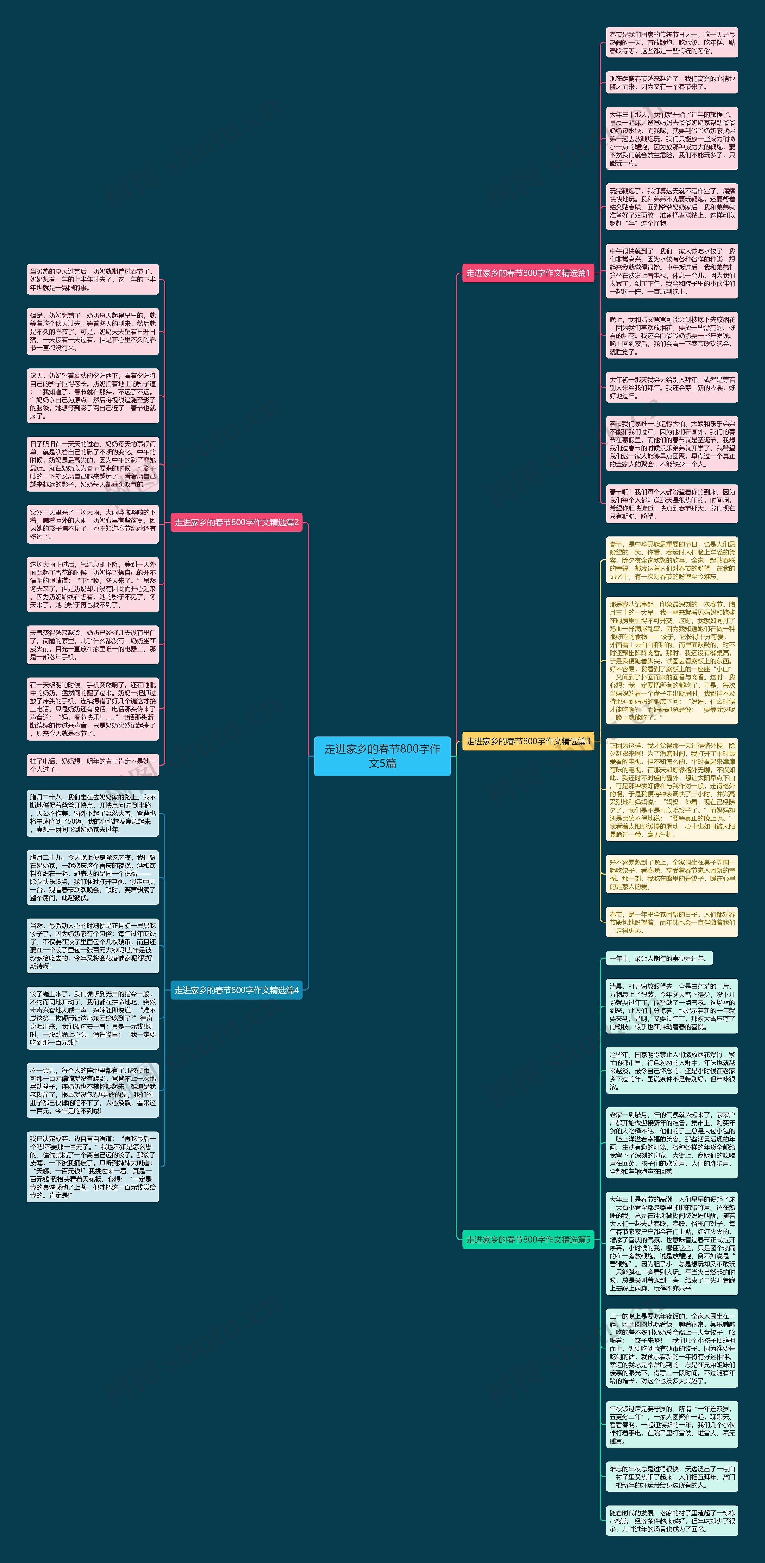 走进家乡的春节800字作文5篇思维导图