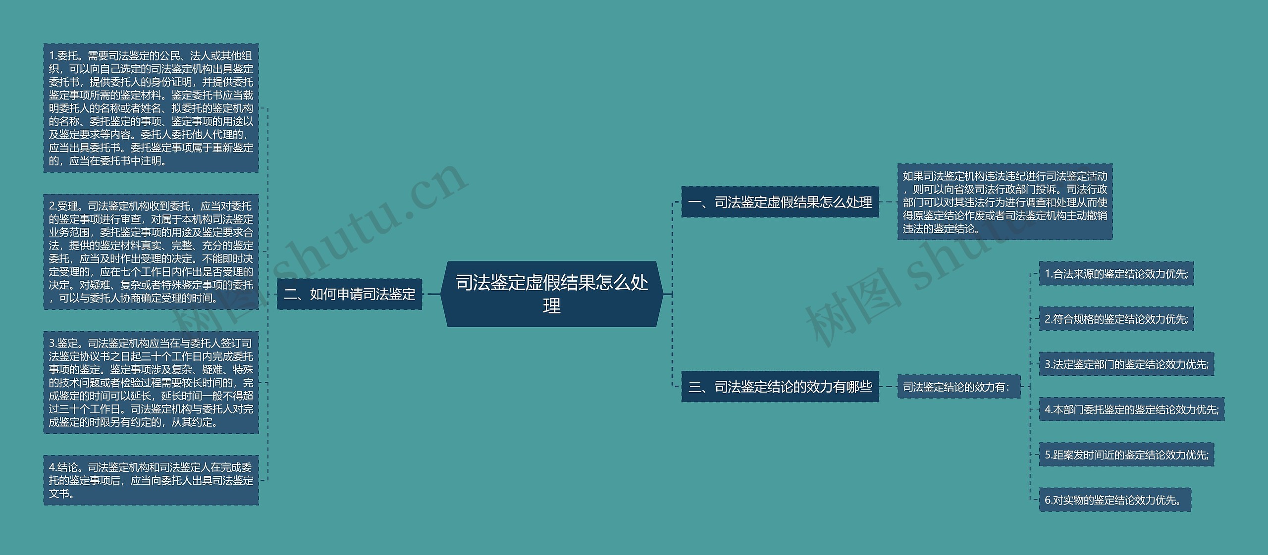 司法鉴定虚假结果怎么处理思维导图