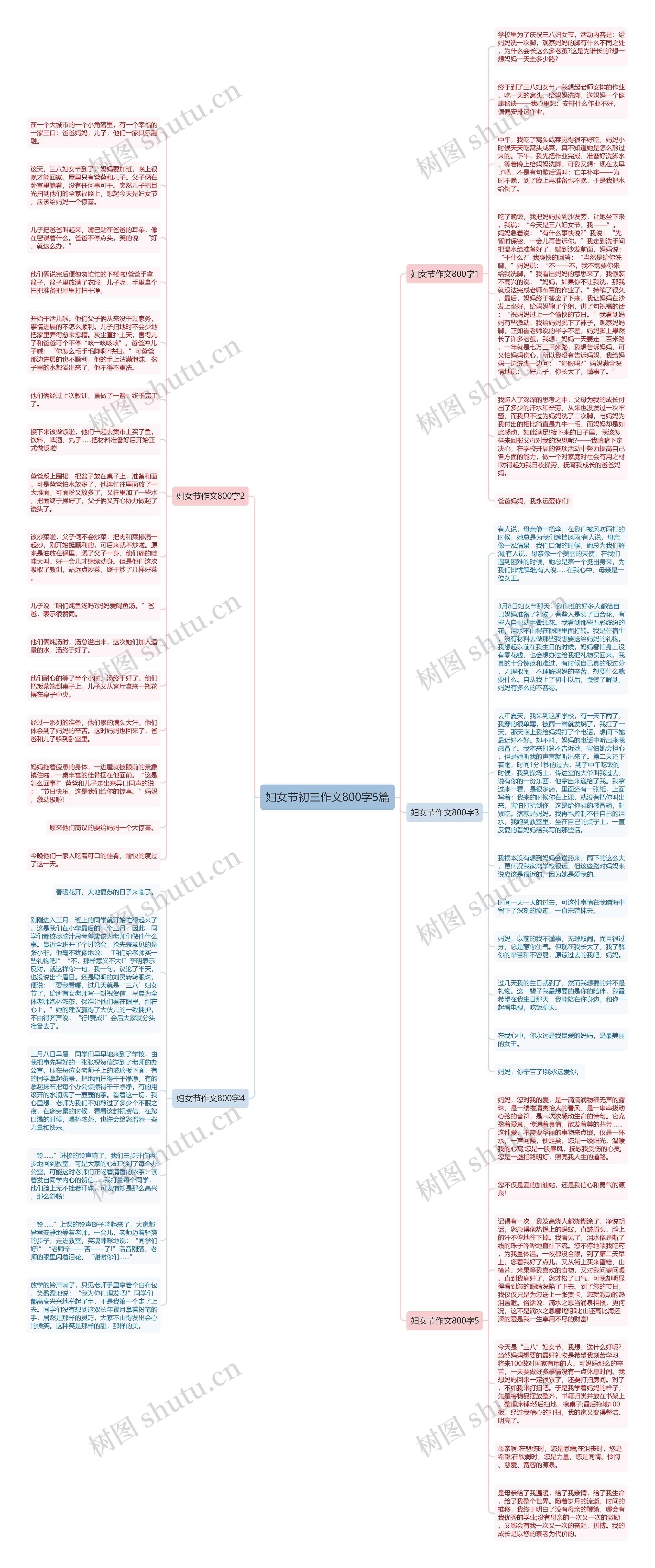 妇女节初三作文800字5篇思维导图