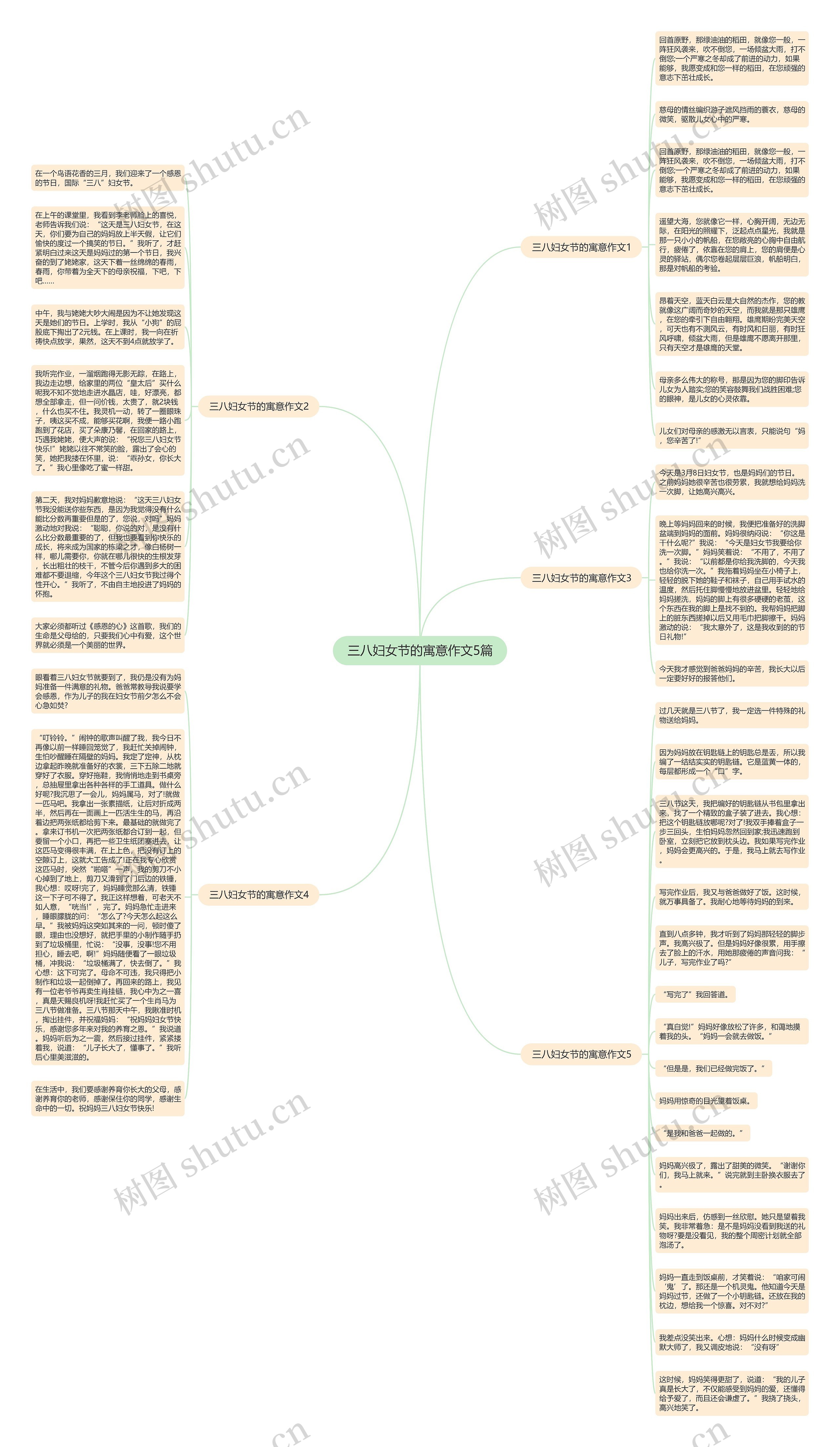 三八妇女节的寓意作文5篇思维导图