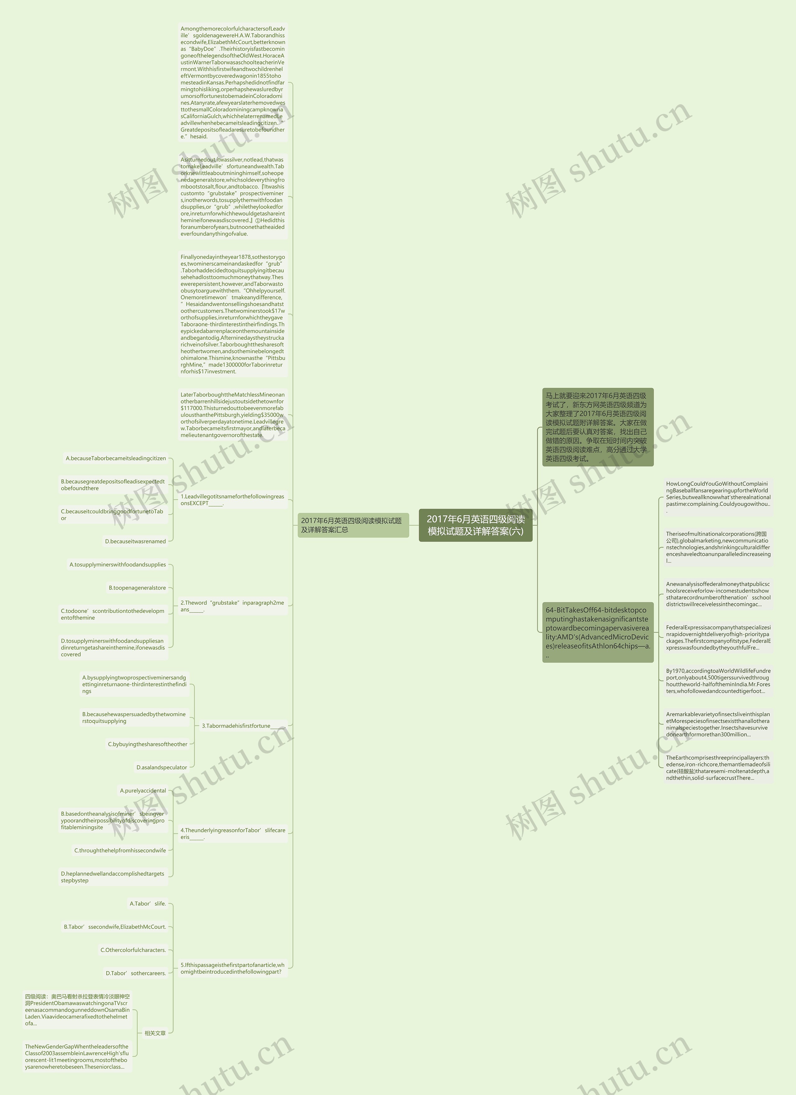 2017年6月英语四级阅读模拟试题及详解答案(六)思维导图